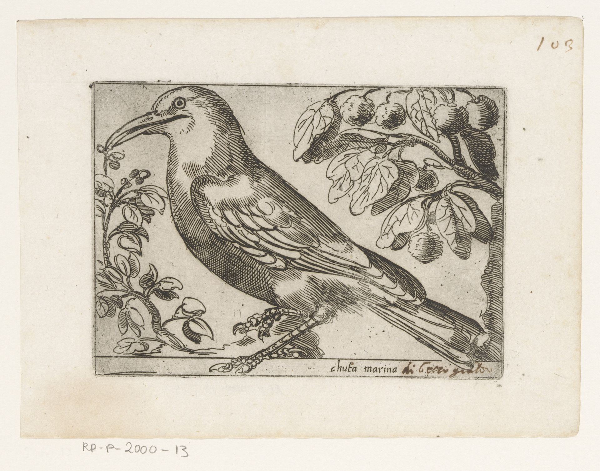 Vogel by Jacques de Fornazeris