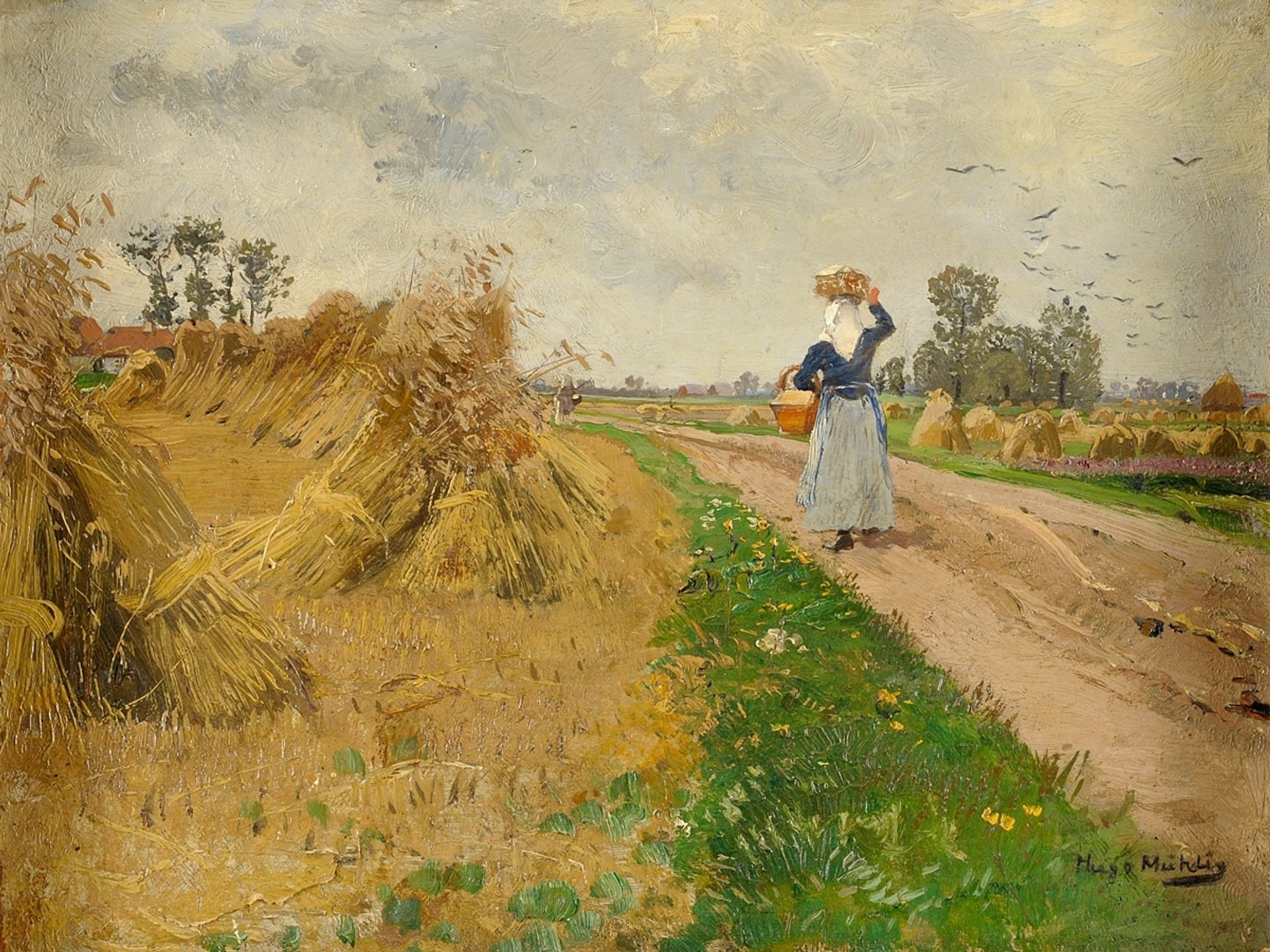 Sheaves by Hugo Mühlig
