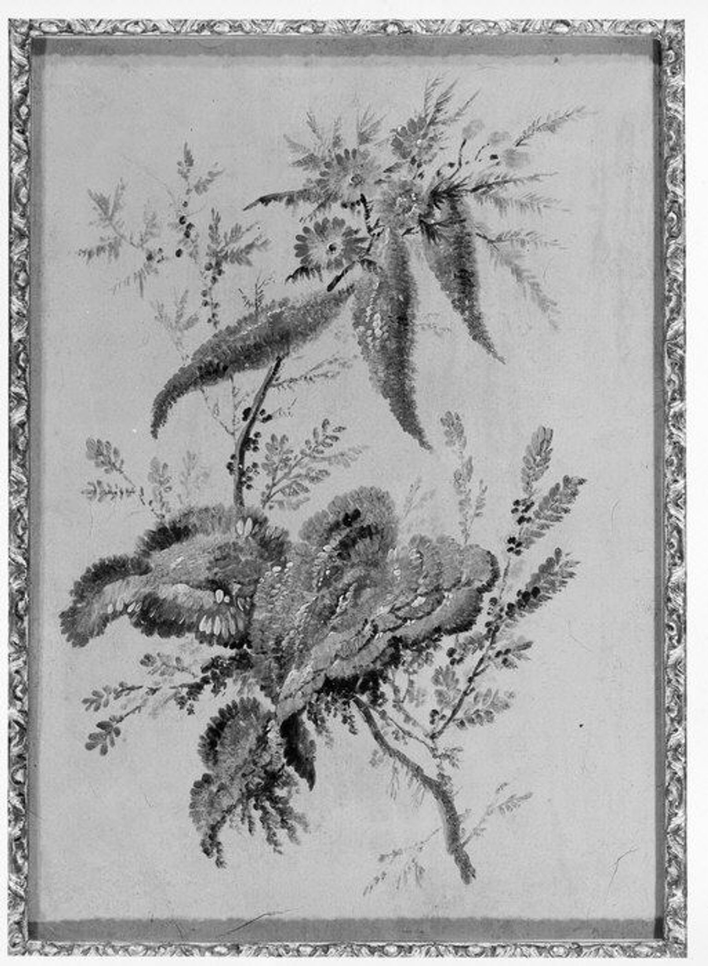 Flowers by Jean Pillement
