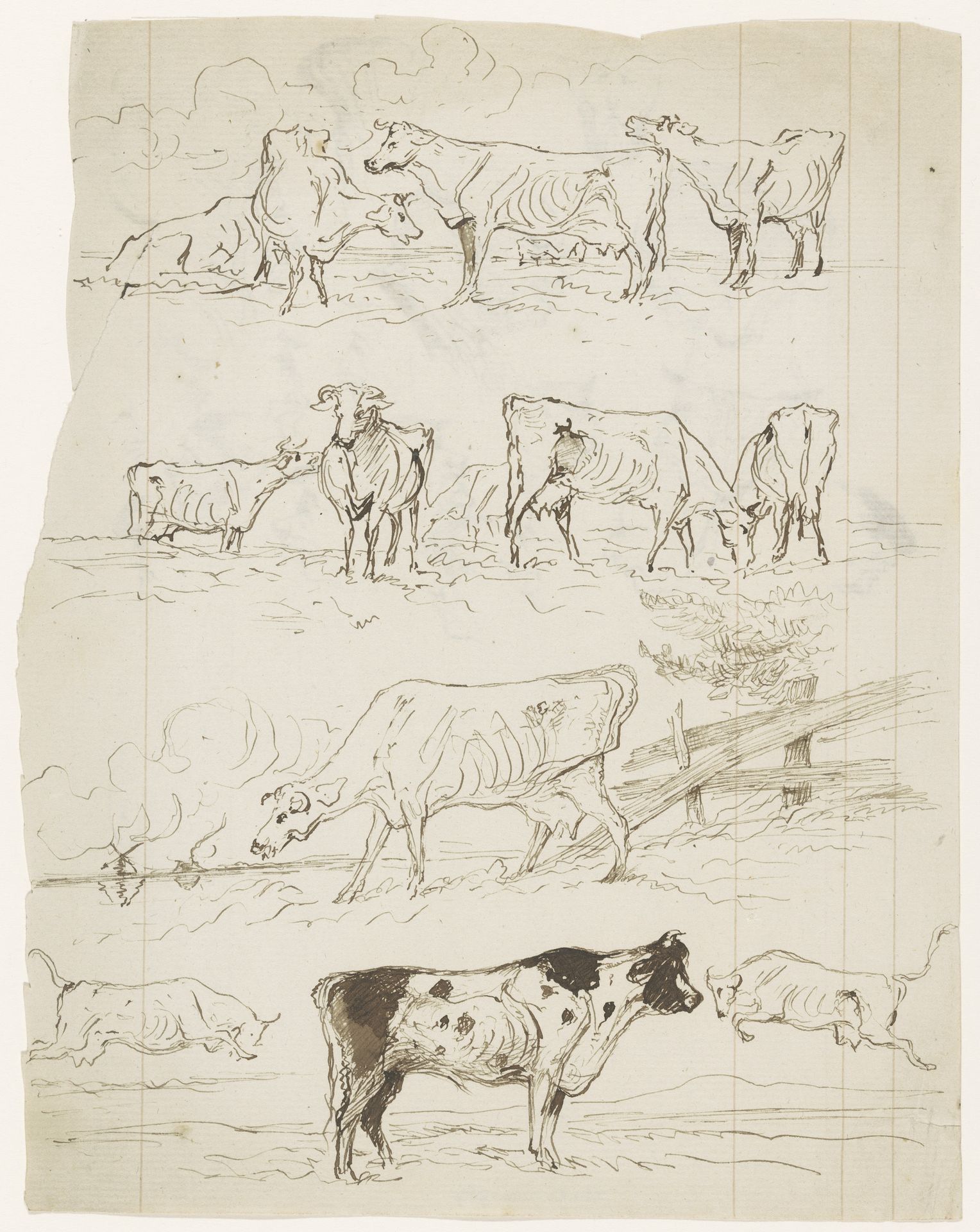 Verschillende schetsen van grazende koeien in de wei en van een stier by Johannes Tavenraat