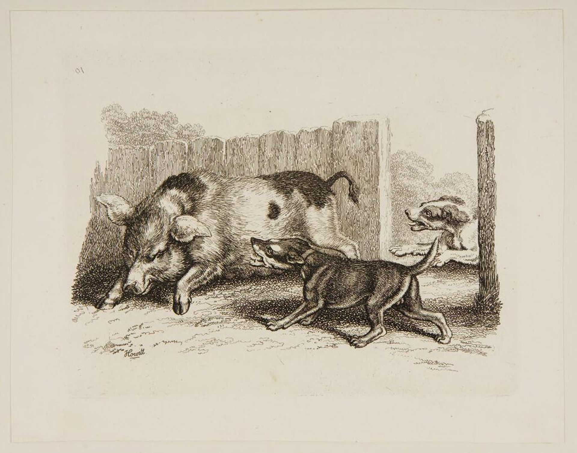 Dogs Chasing a Pig by Samuel Howitt