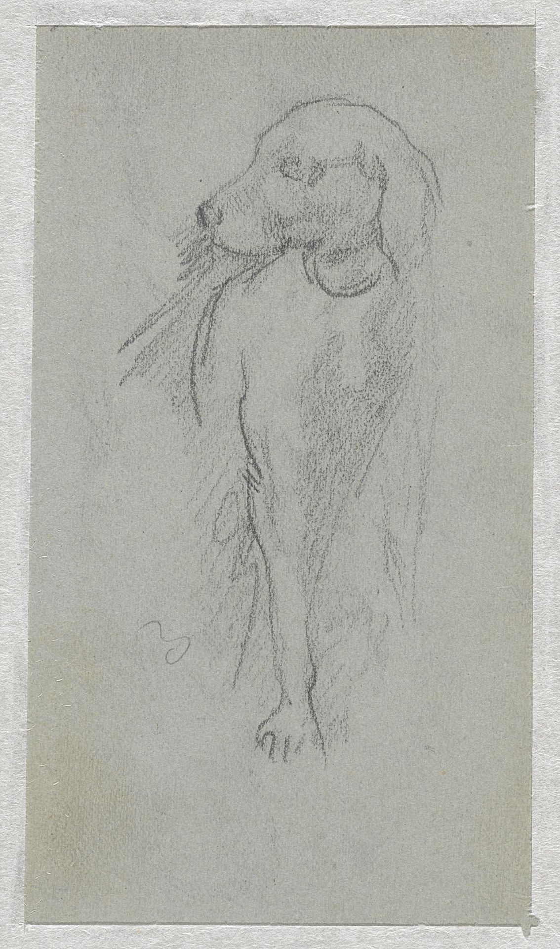 Hond by Jacob Maris