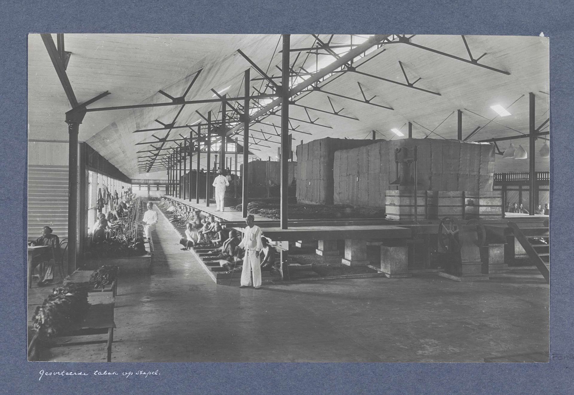 Chinese contractarbeiders sorteren tabaksbladeren in een fermenteerschuur, Sumatra by Carl J. Kleingrothe