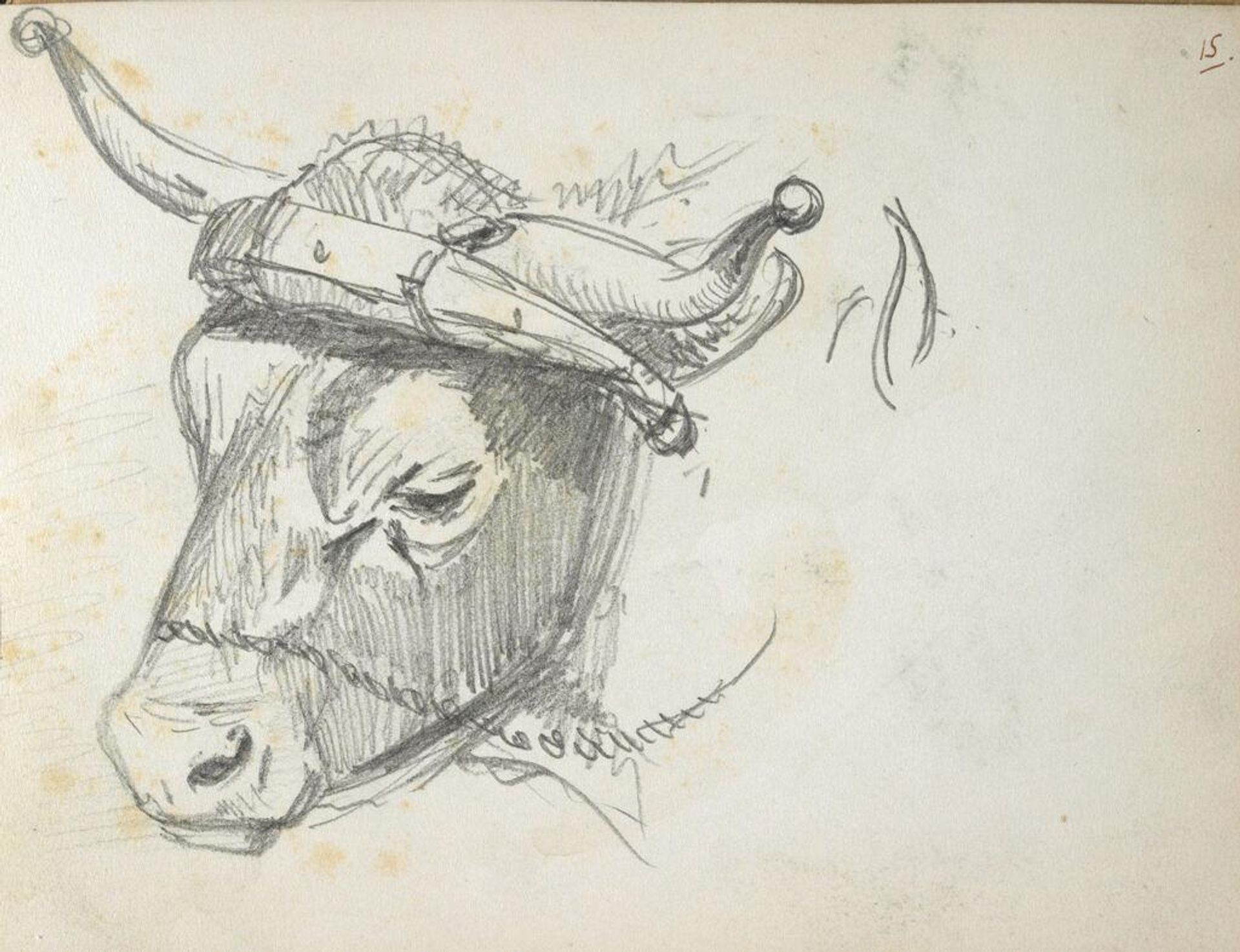 Head of a Cow; verso: Sketches of Goats by John Singer Sargent