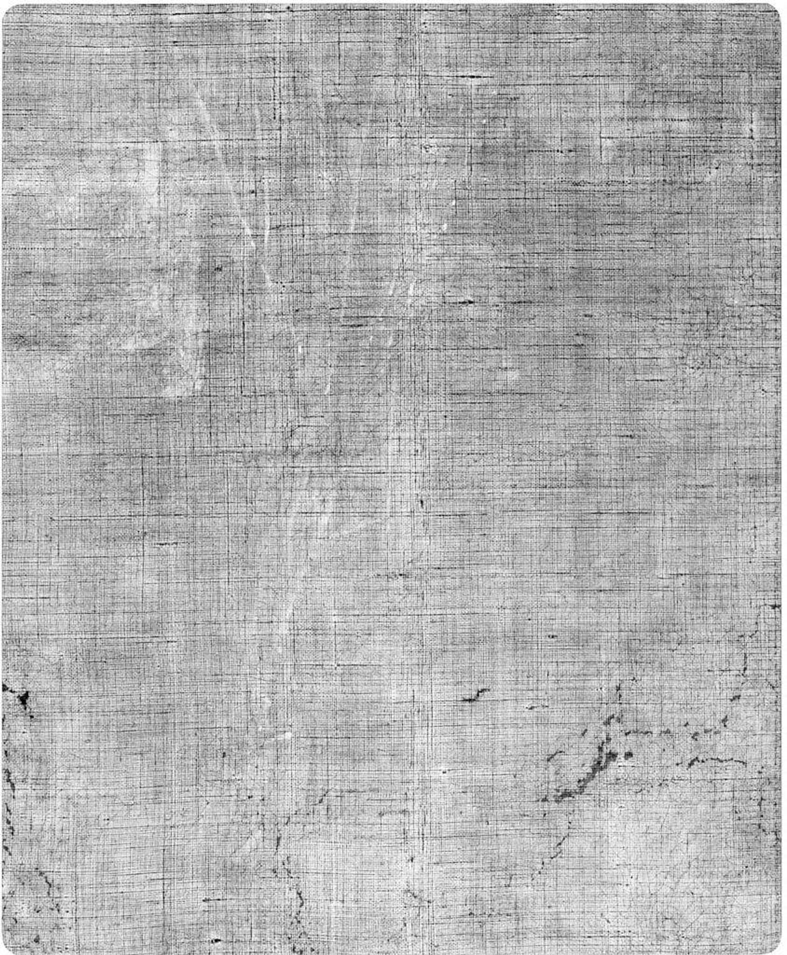 X-radiograph(s) of "Harbor Scene" by Artist of original: Jan van Goyen