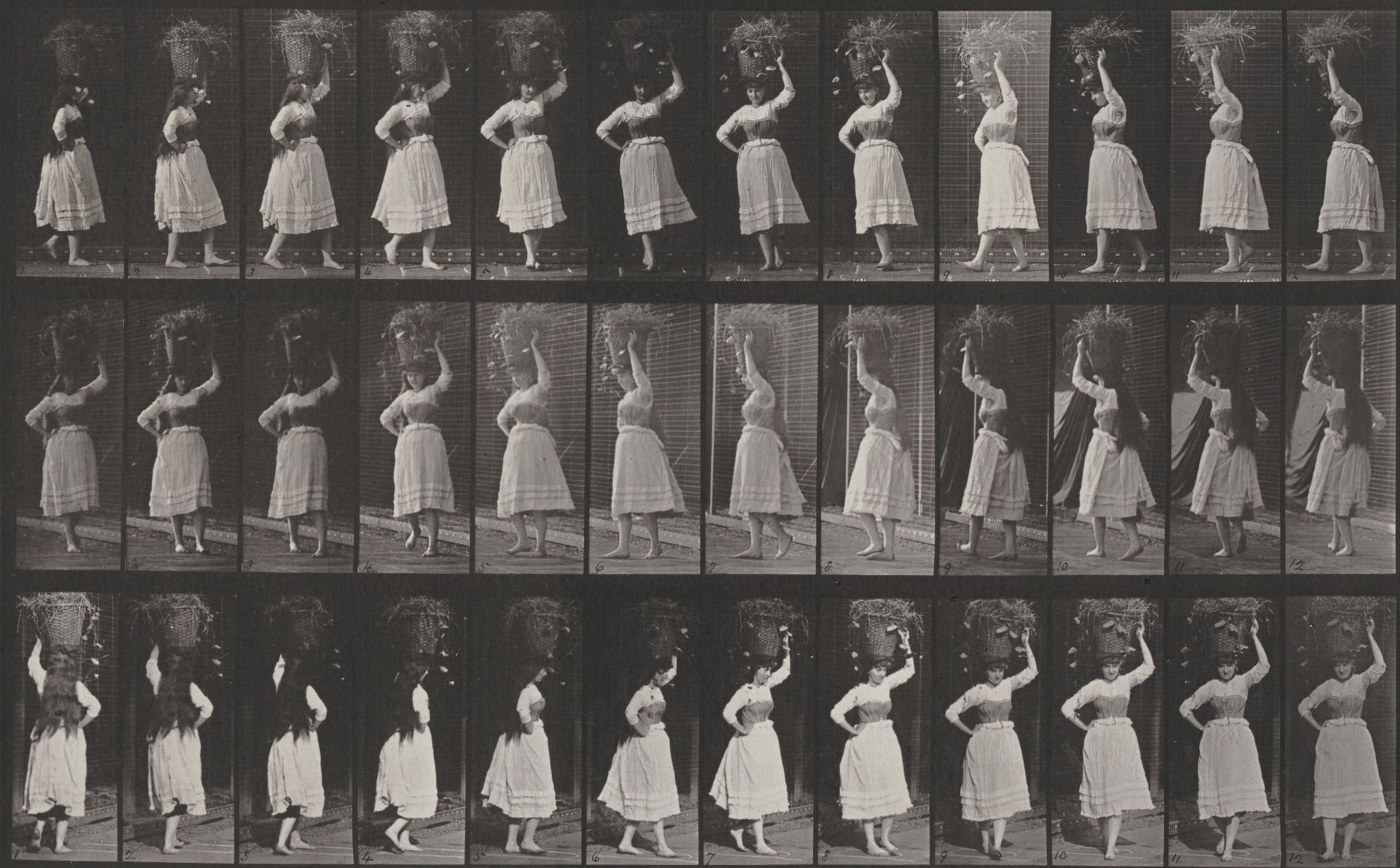 Plate Number 57. Walking and turning around with a 10-lb. basket on head by Eadweard Muybridge