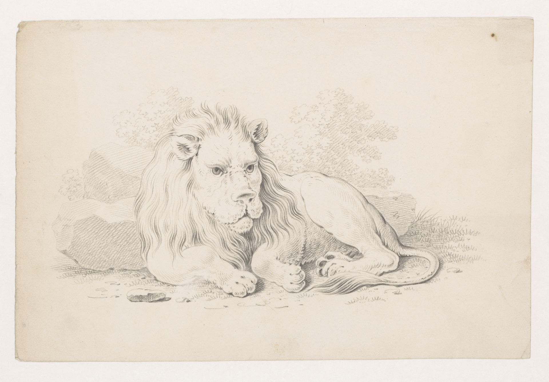 Liggende leeuw by Pieter de Goeje