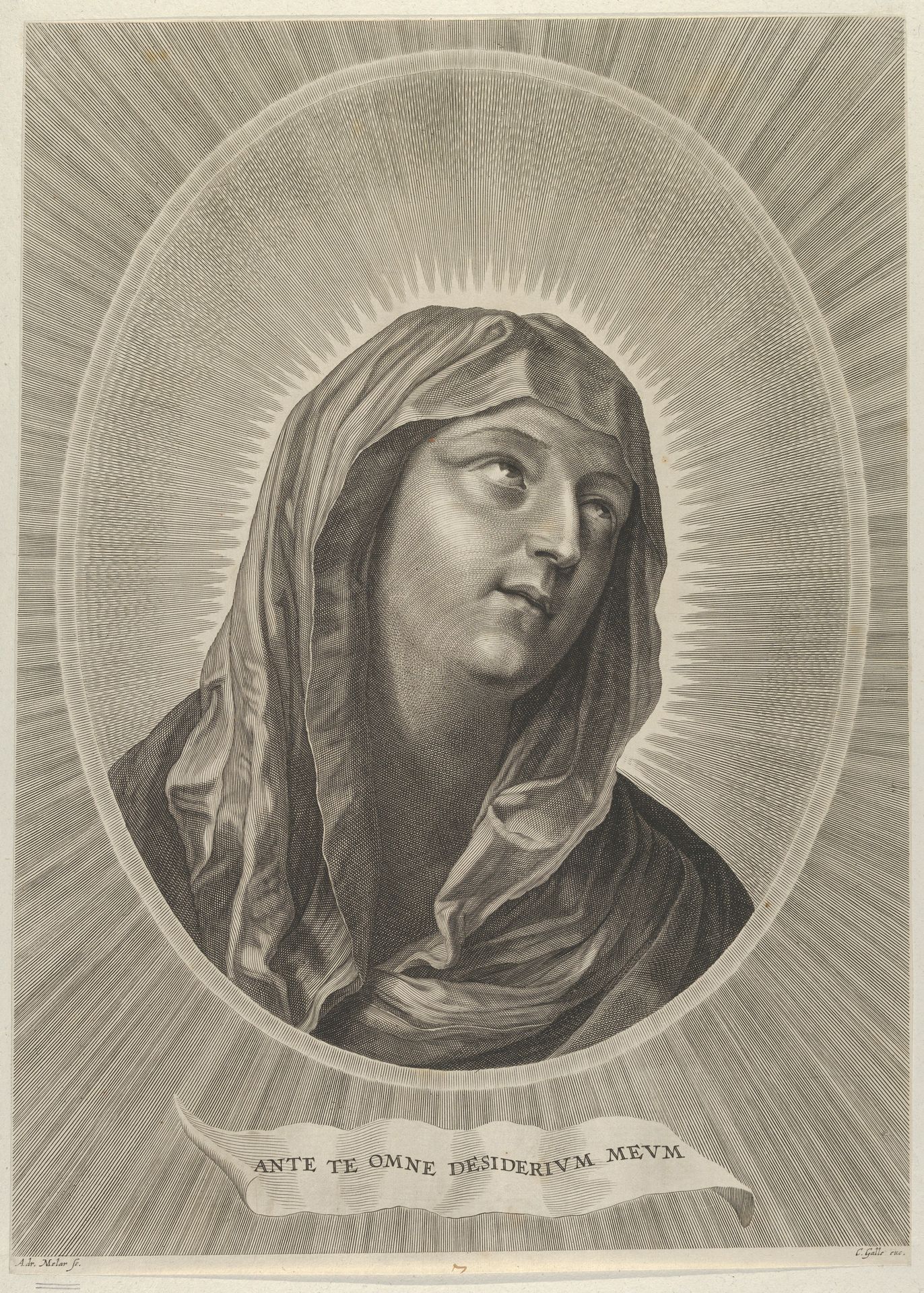 The head of the Virgin looking up to the right, in an oval frame, after Reni by Adrian van Melar