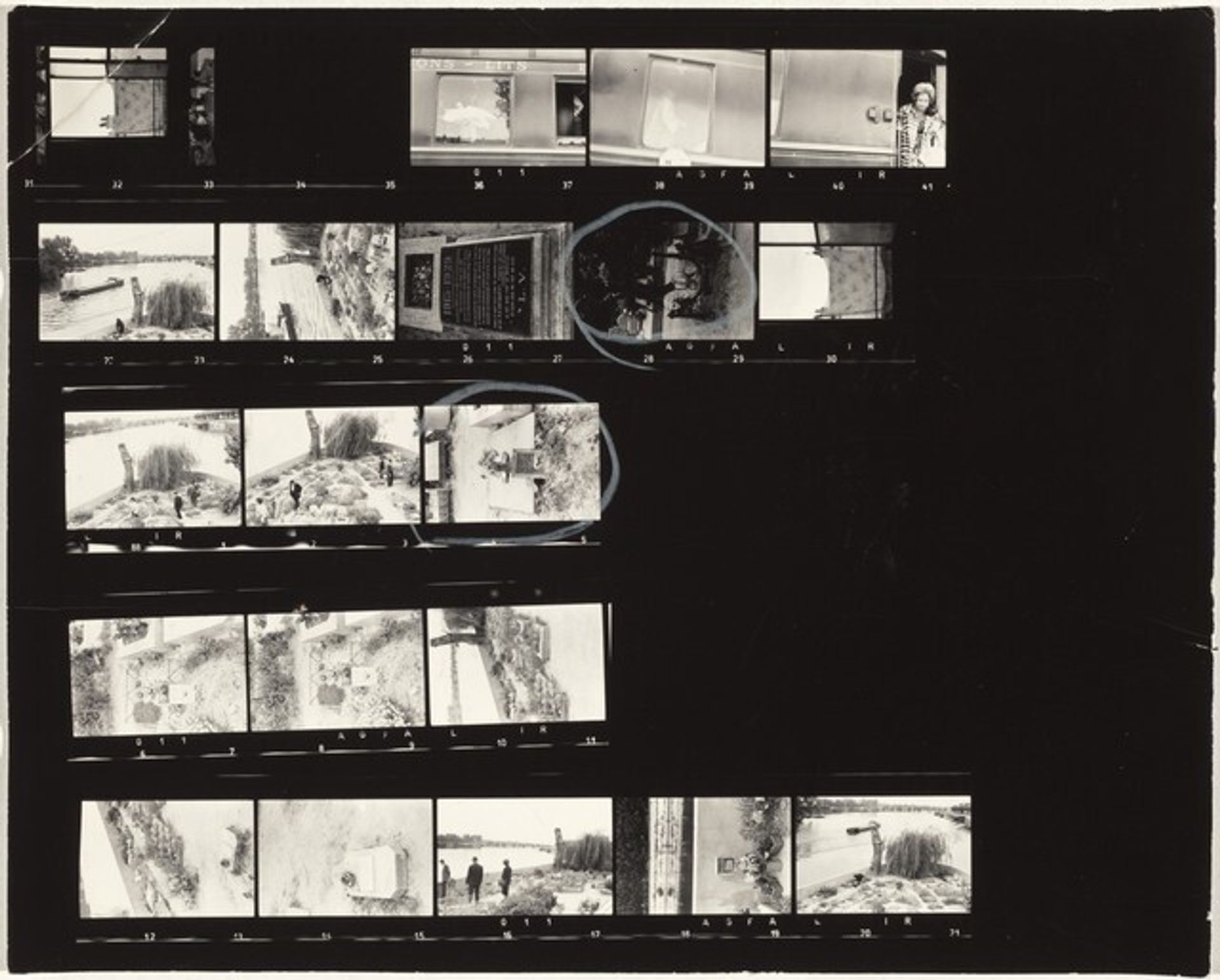 Dog cemetery--Paris 11 by Robert Frank