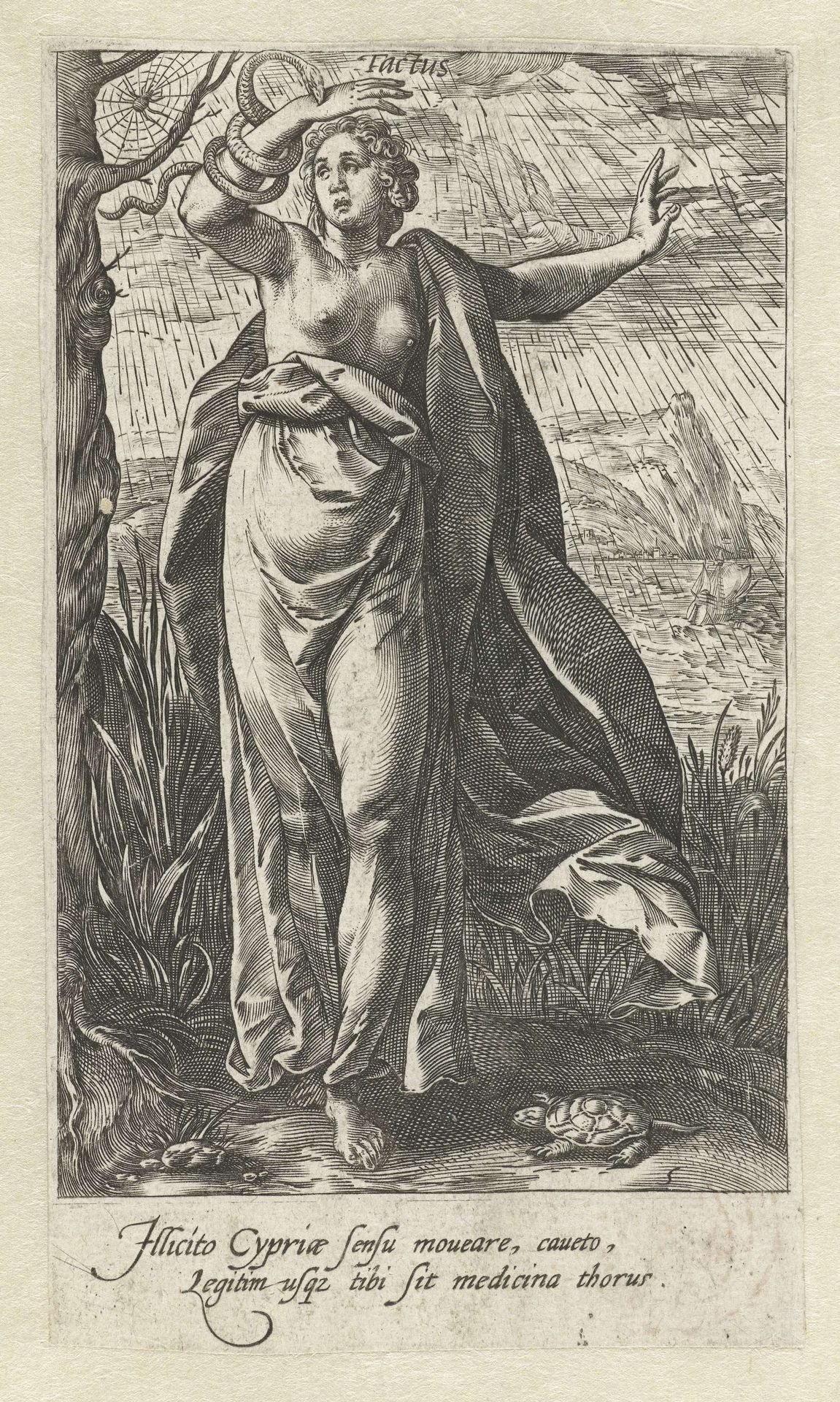 Tast by Hendrick Goltzius