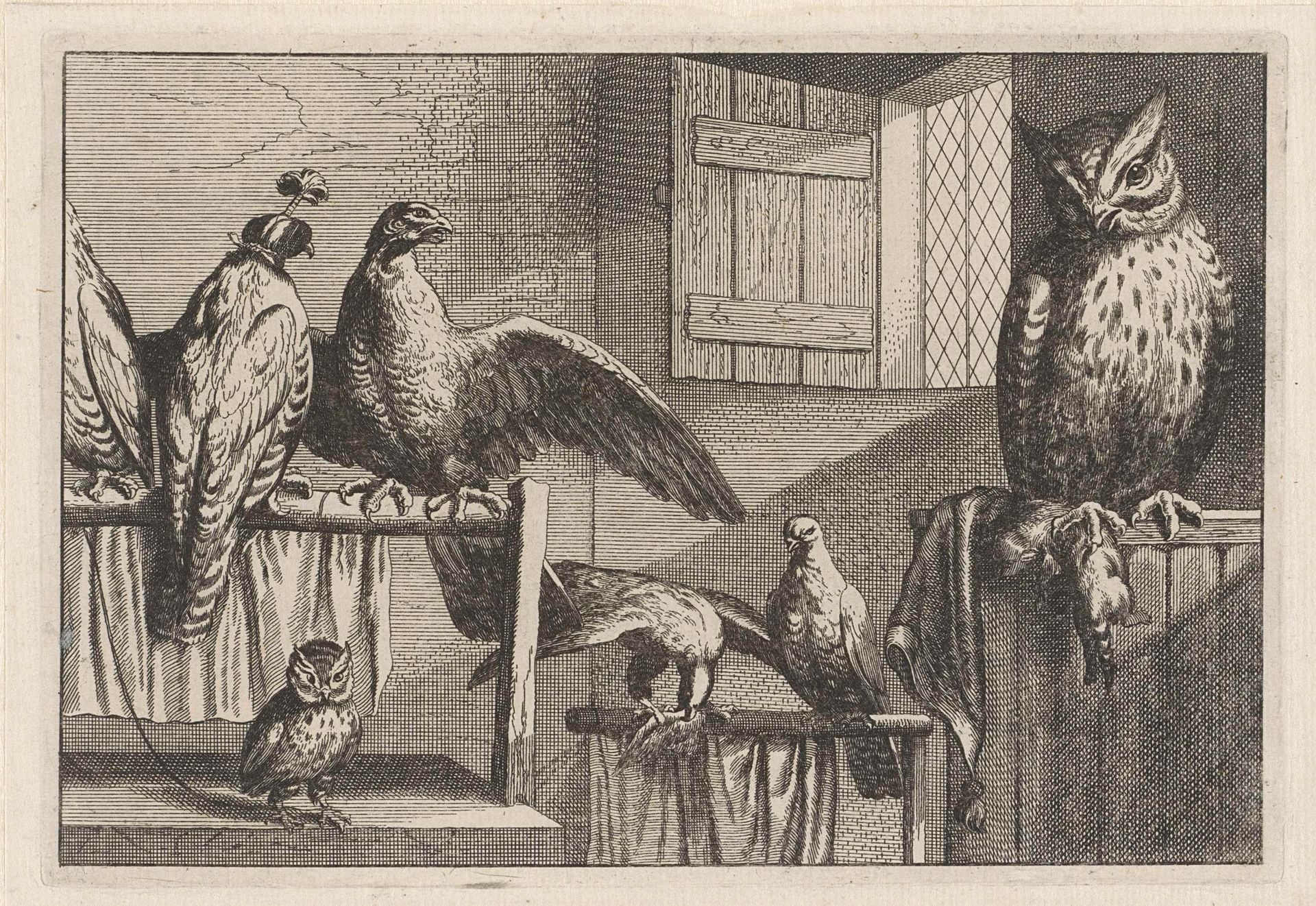 Uilen, valken of haviken by Wenceslaus Hollar