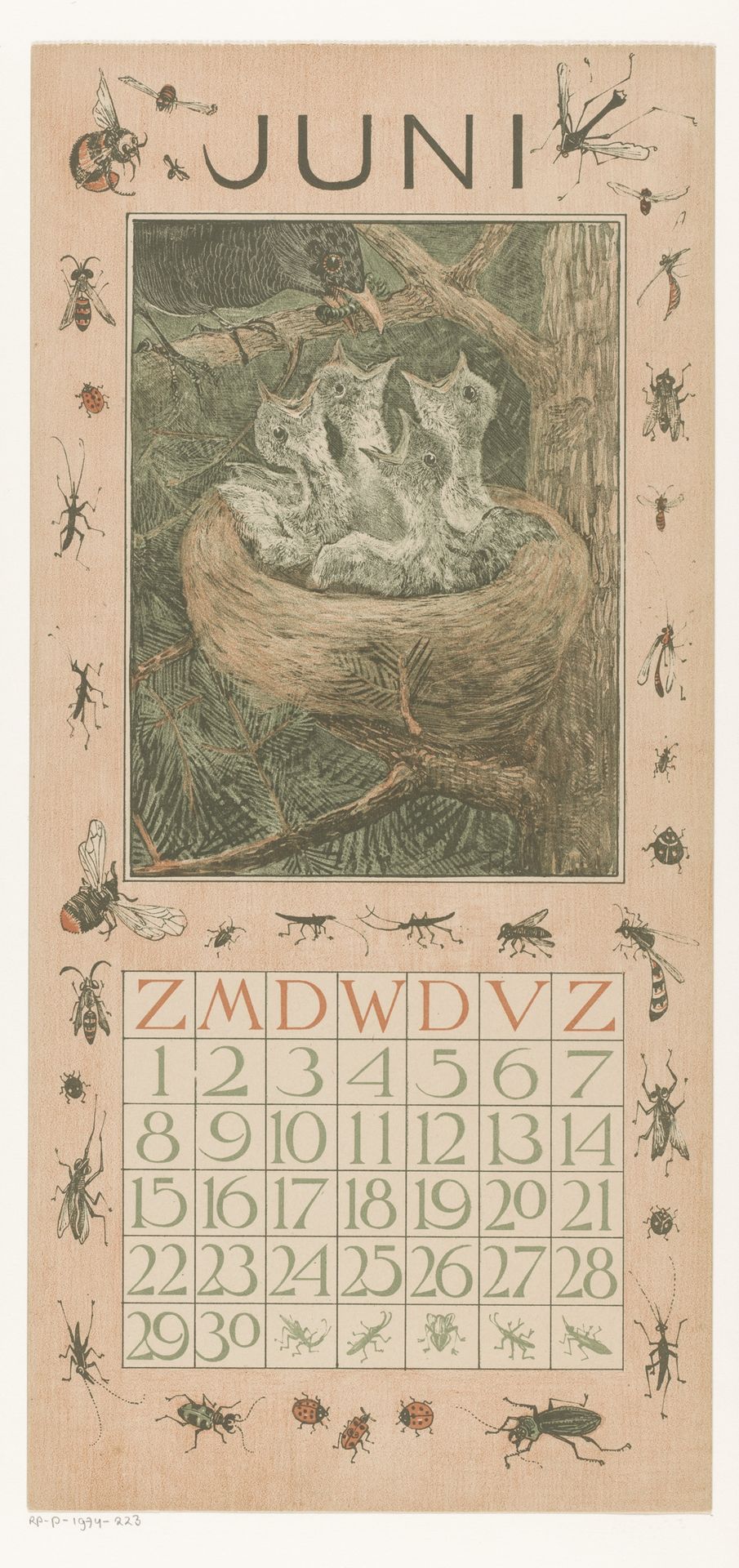 Kalenderblad juni met jonge vogels by Theo van Hoytema