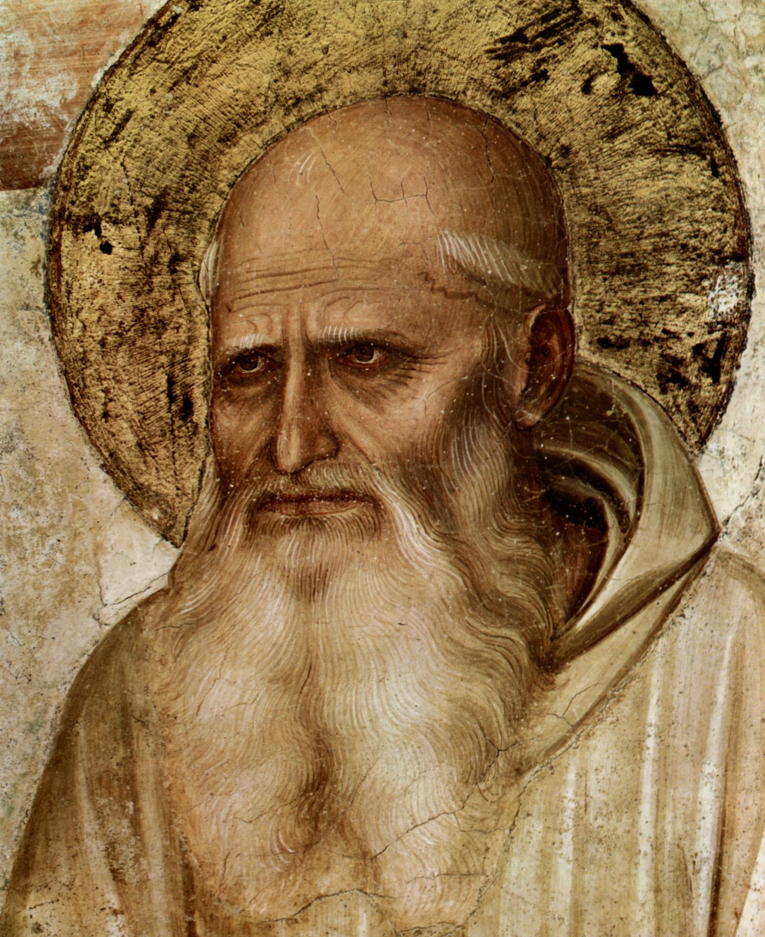 St Romuald (detail of Crucifixion) by Fra Angelico