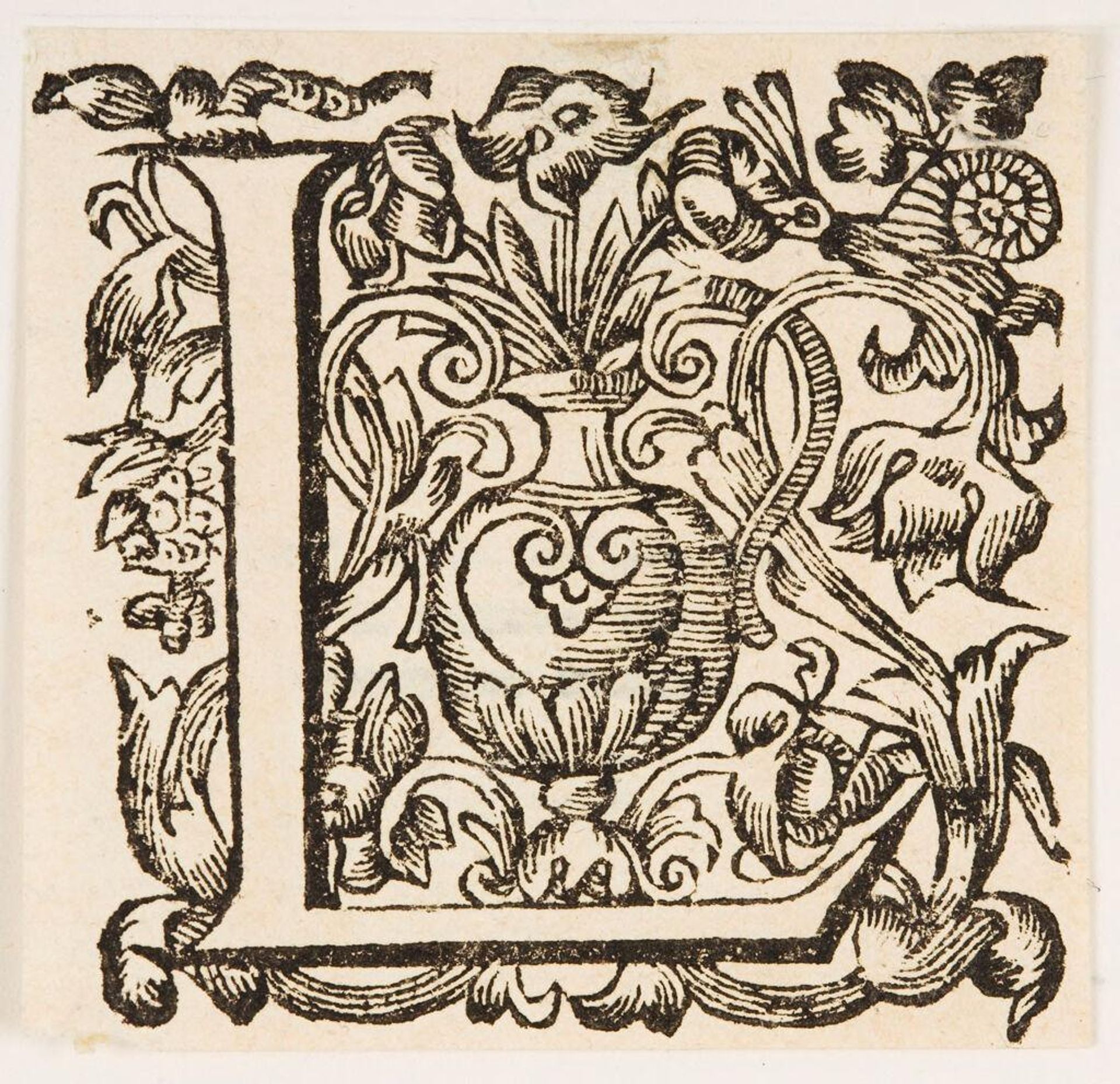Letter L by Anonymous