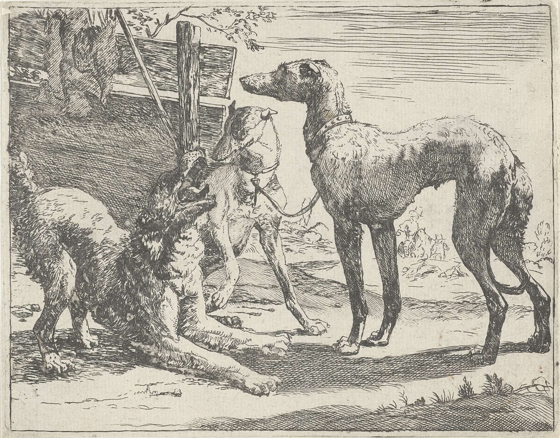 Drie honden by Pauwels van Hillegaert