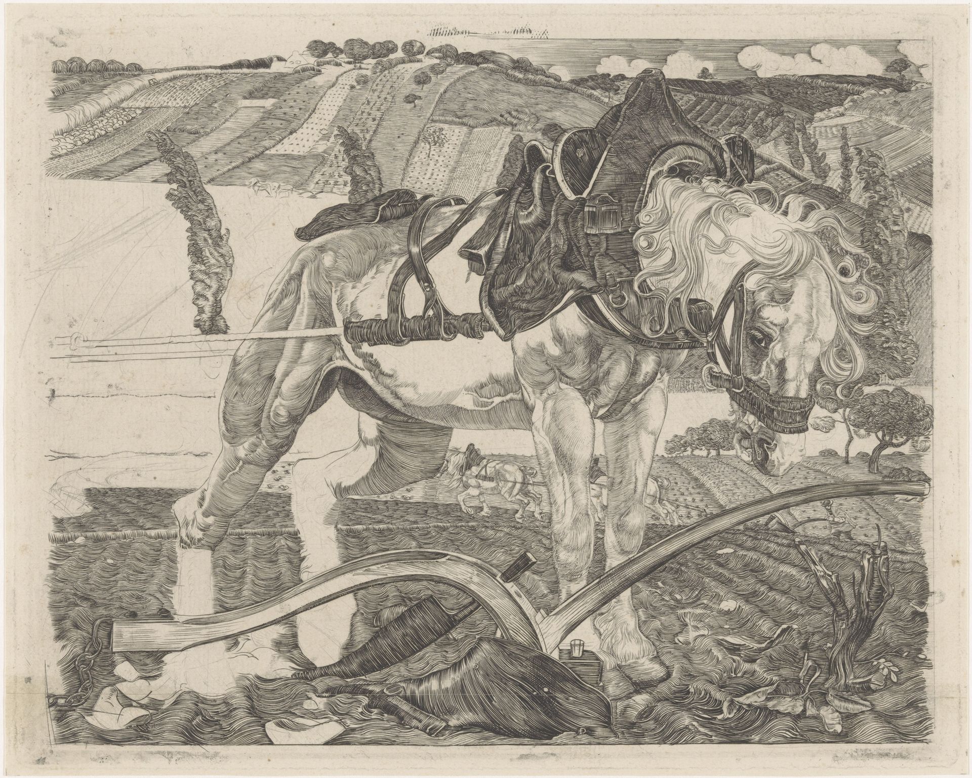 Ploegend paard op een heuvel by Pieter Dupont