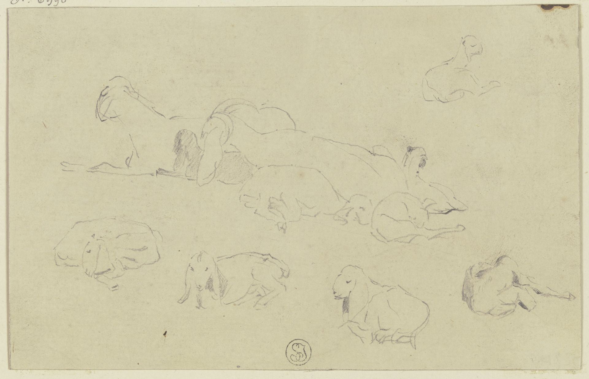 Sheep by Wilhelm Gentz