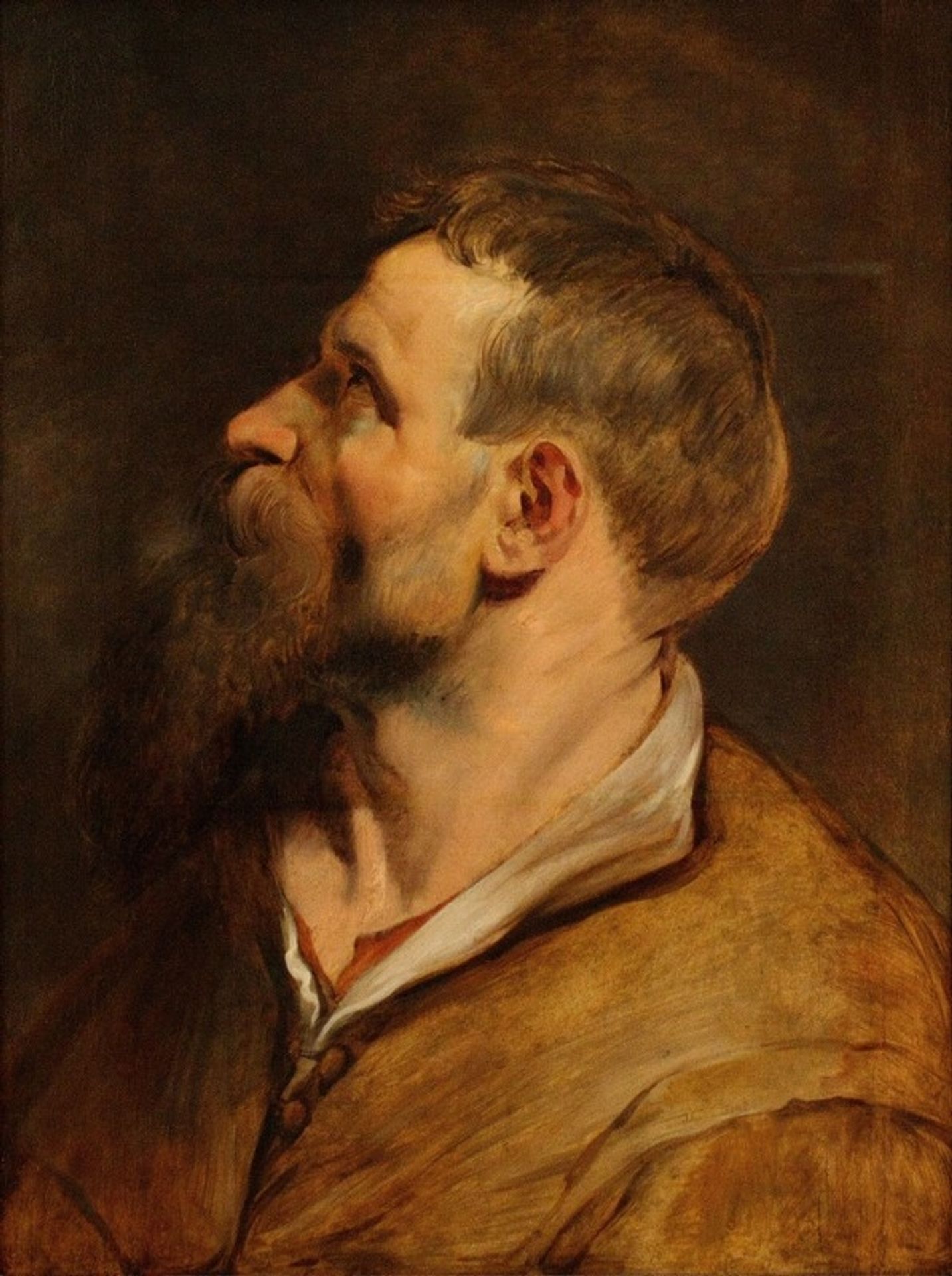 Head of a bearded man by Peter Paul Rubens