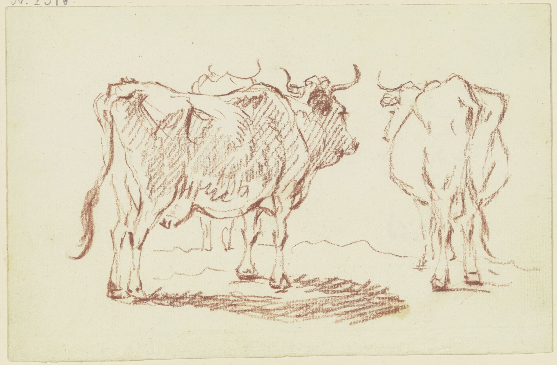 Stehende Kühe von hinten gesehen by Friedrich Wilhelm Hirt
