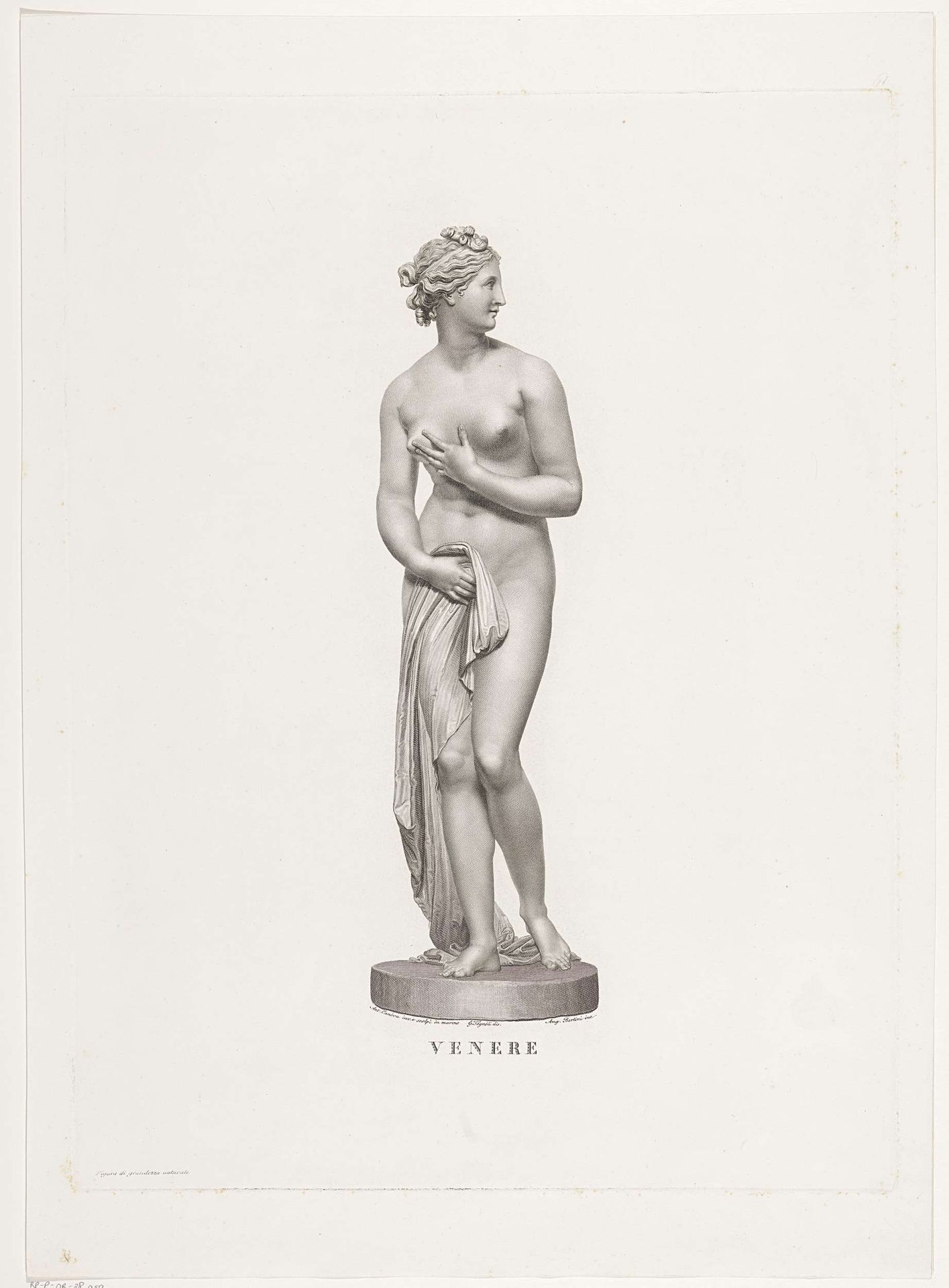Venus by Angelo Bertini