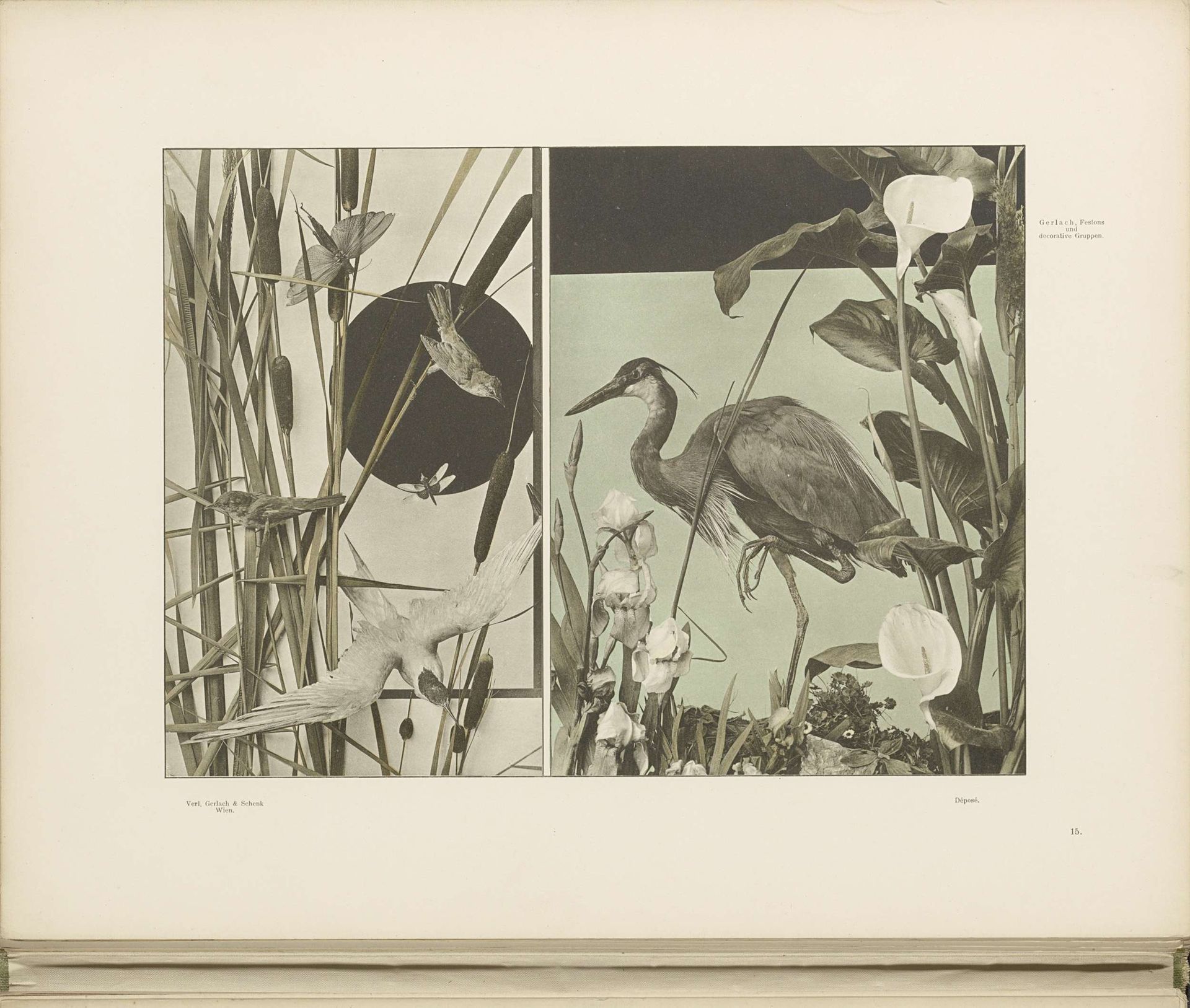 Riet met een reiger, lissen en gevogelte by Anonymous