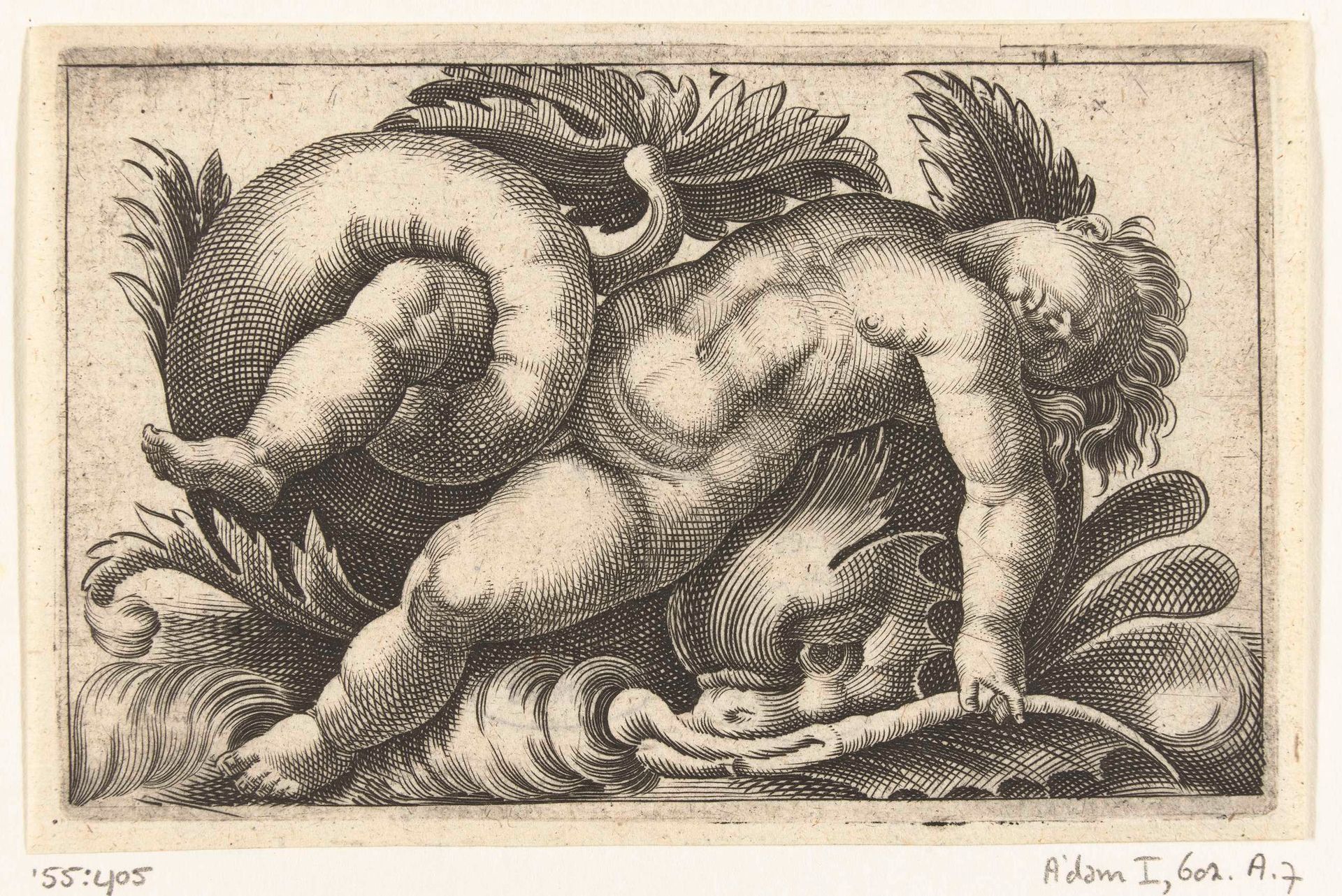 Slapende putto op een dolfijn by Adam Fuchs