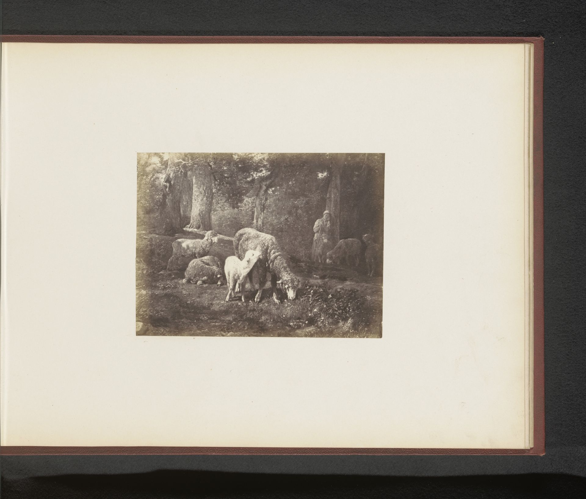 Fotoreproductie van Moutons dans le bois van Ch. Jacques by Anonymous
