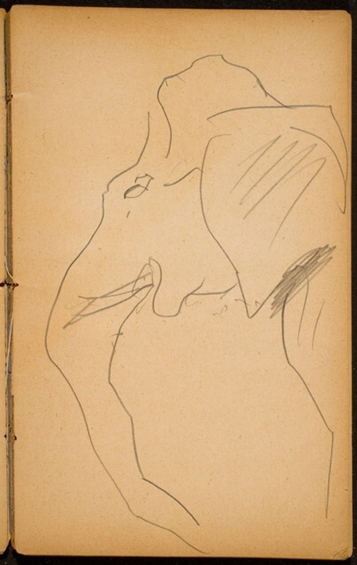 Elefant (Elephant) [p. 23] by Max Beckmann