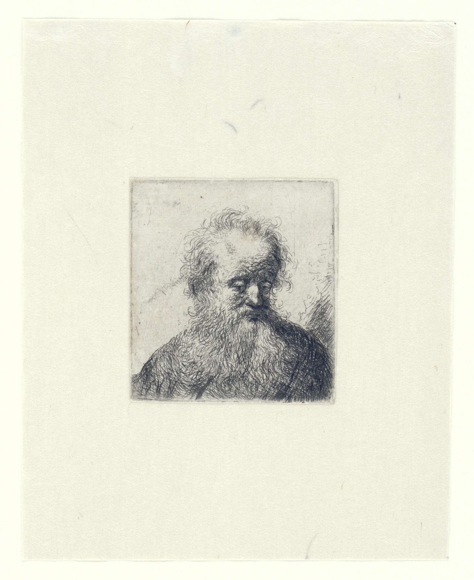 Old man with a flowing beard: bust by Anonymous