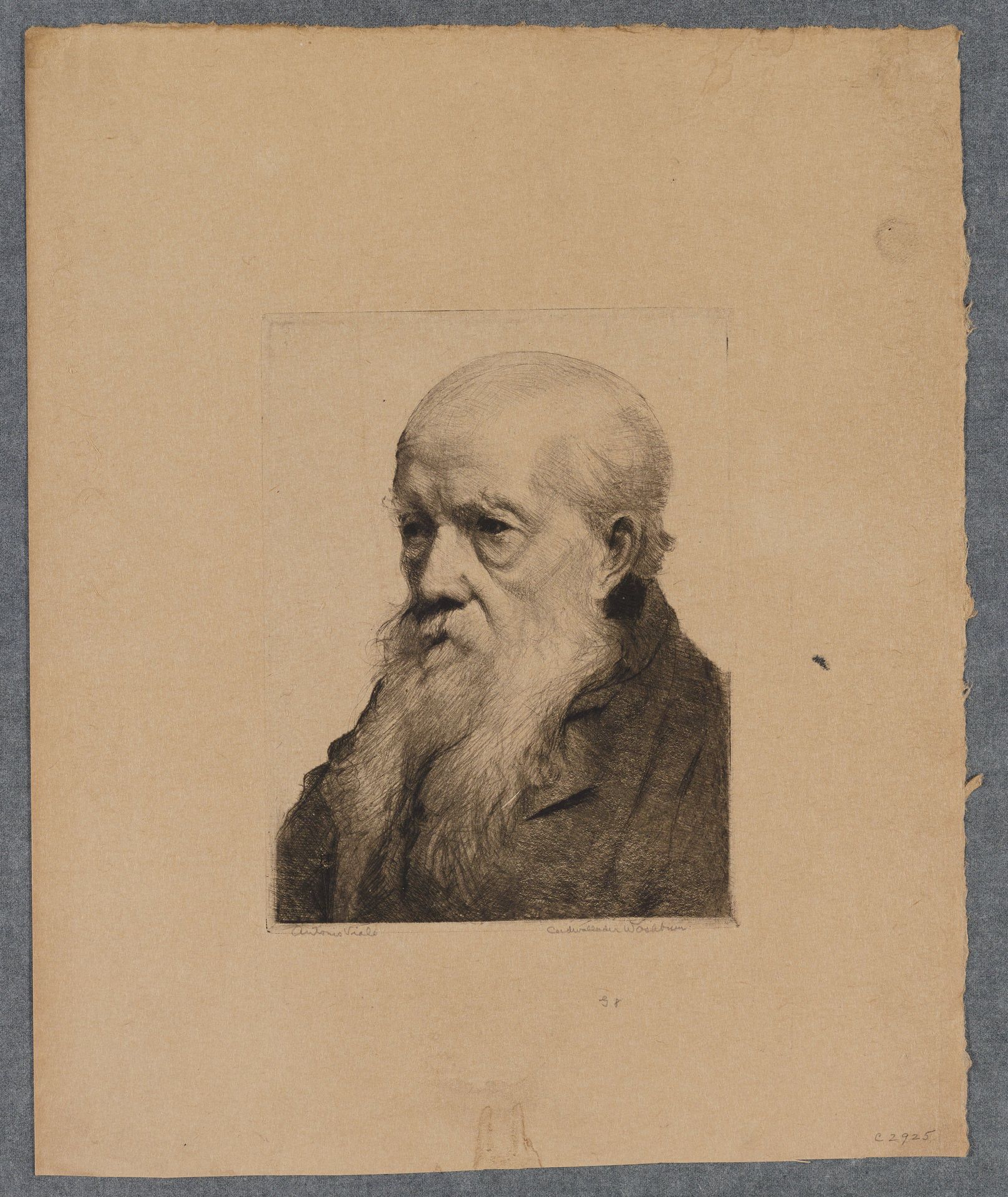 Antonio Viale by Cadwallader Washburn
