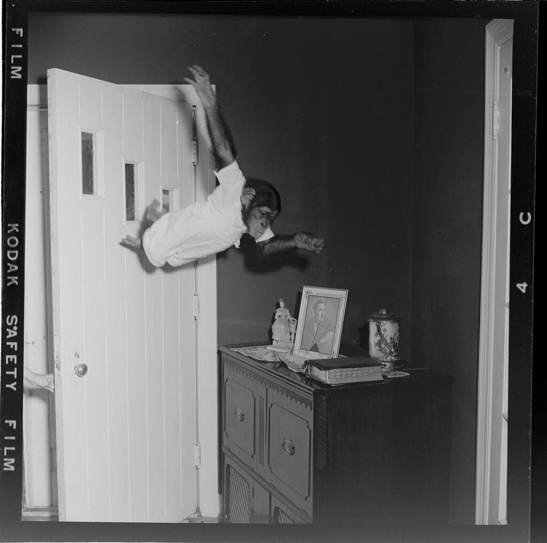 Untitled (monkey jumping from door inside house) by Jack Gould