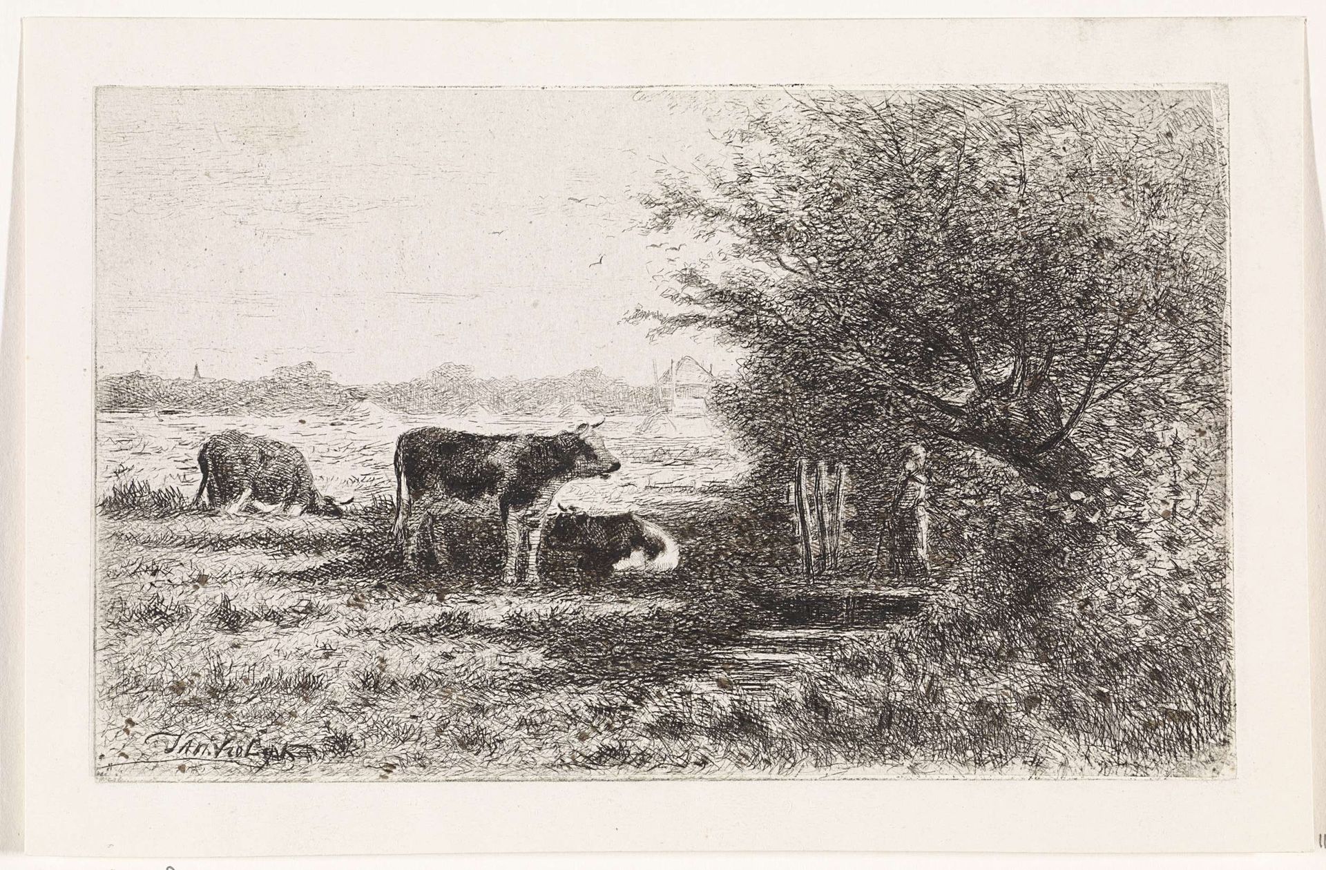 Koeien in weiland by Jan Vrolijk