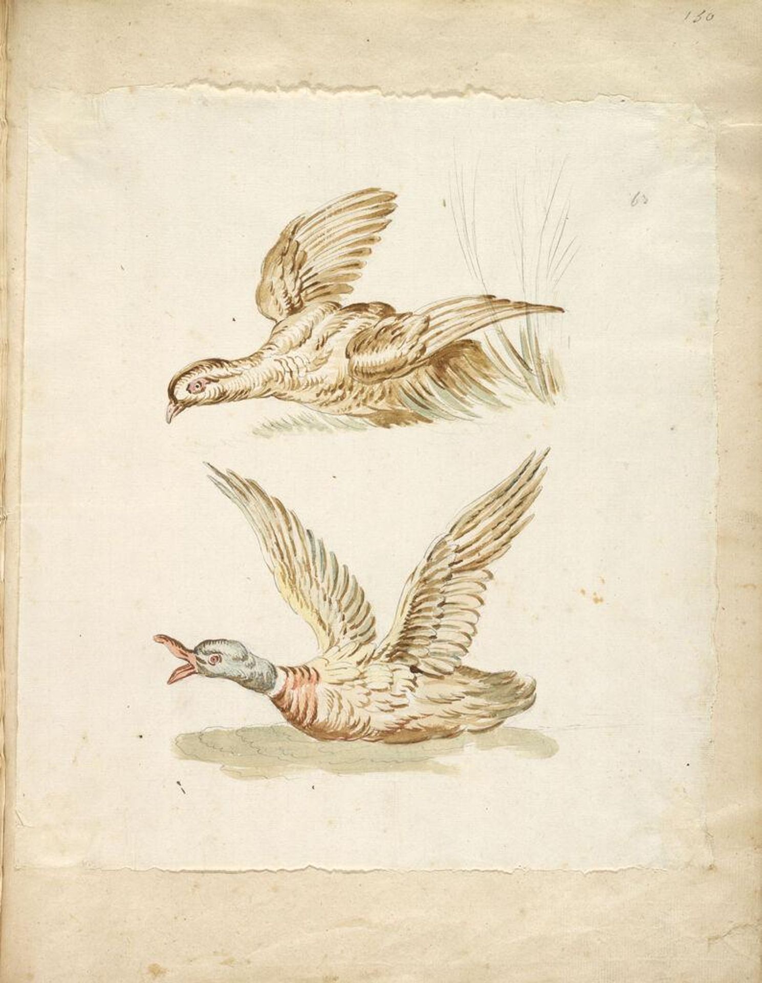 Two Birds Taking Flight; verso: blank by Jean-Baptiste Oudry