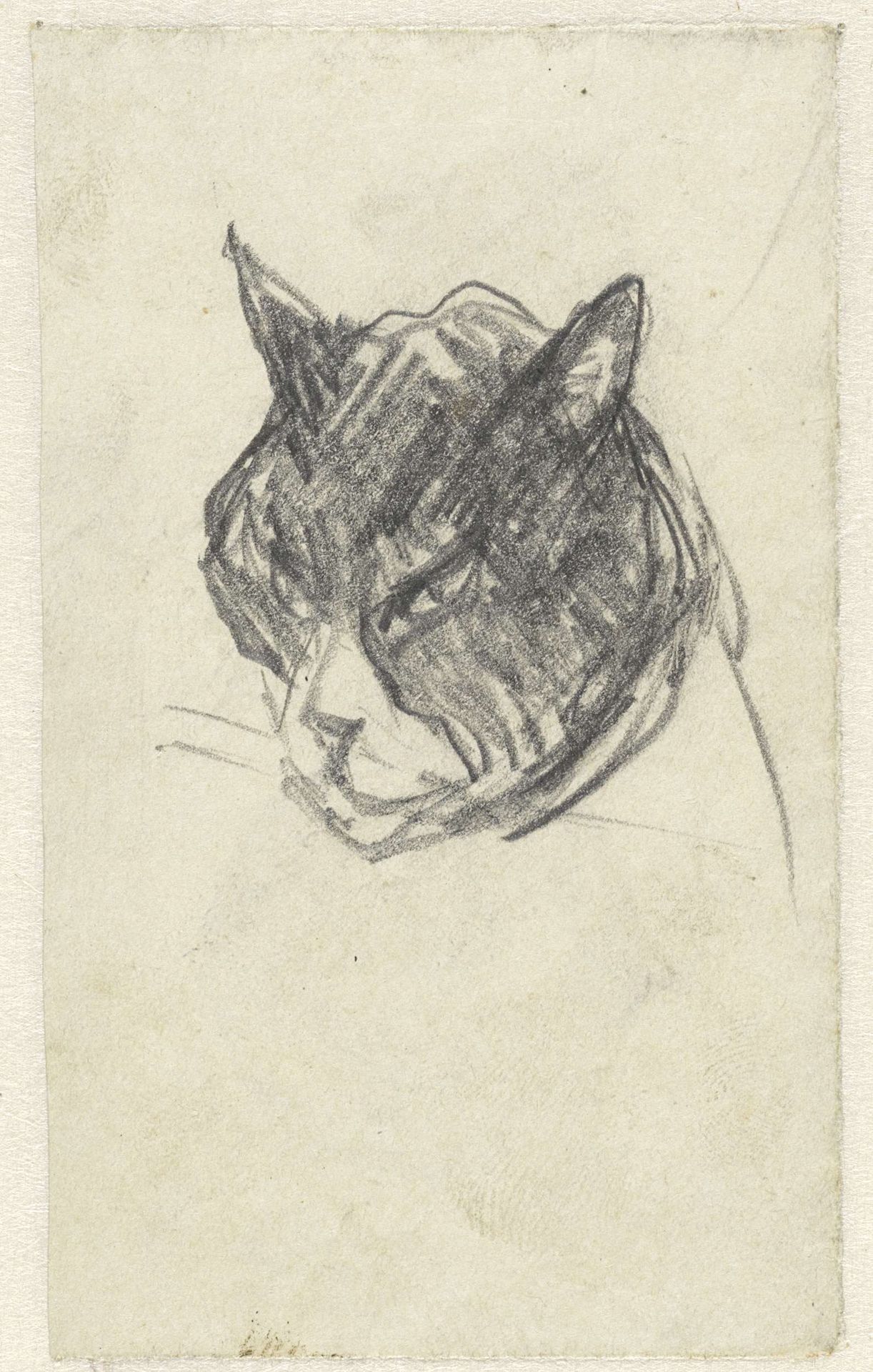 Poes by Jac van Looij