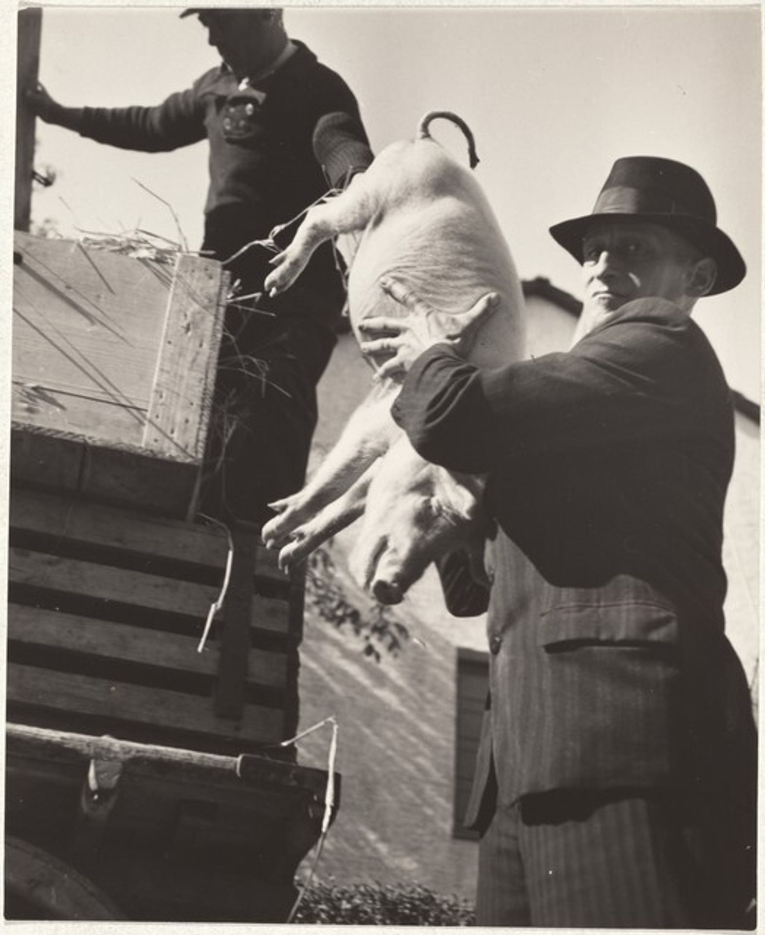 Farmer at market outside Zurich--40 Fotos by Robert Frank