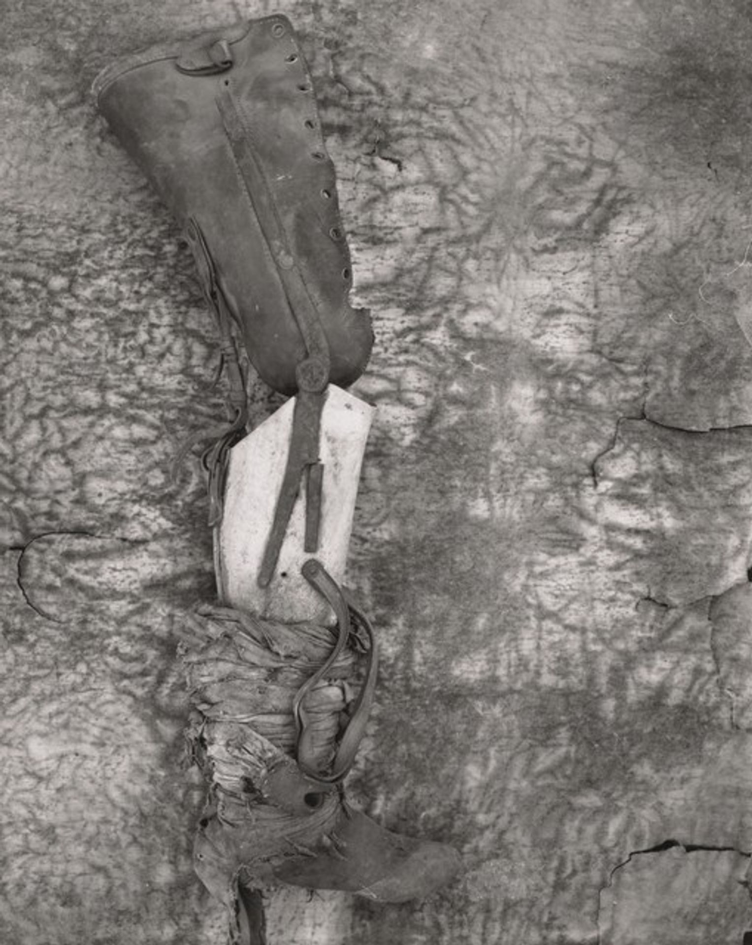 Artificial Leg by Frederick Sommer