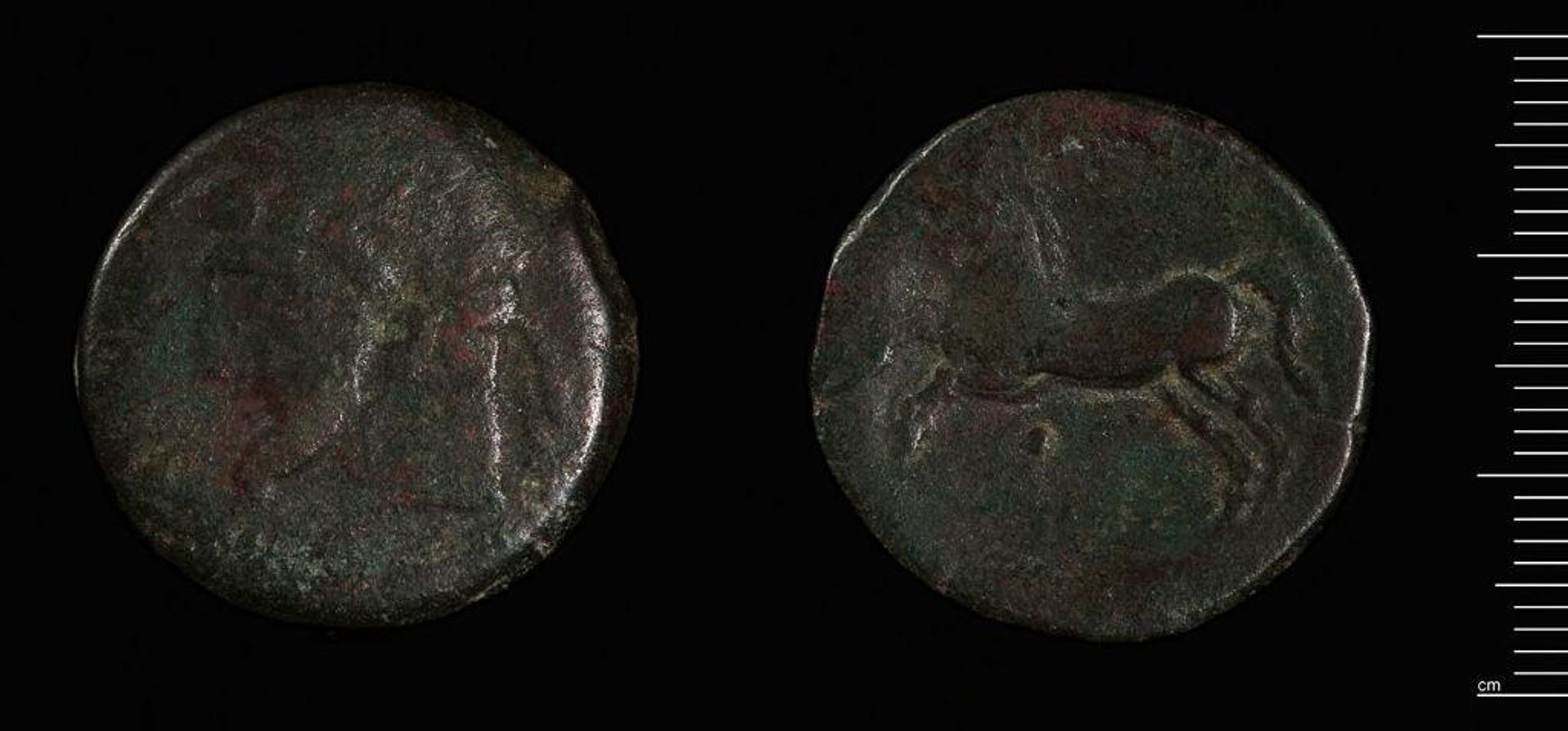 Coin of Numidia and Mauretania under Micipsa by Micipsa