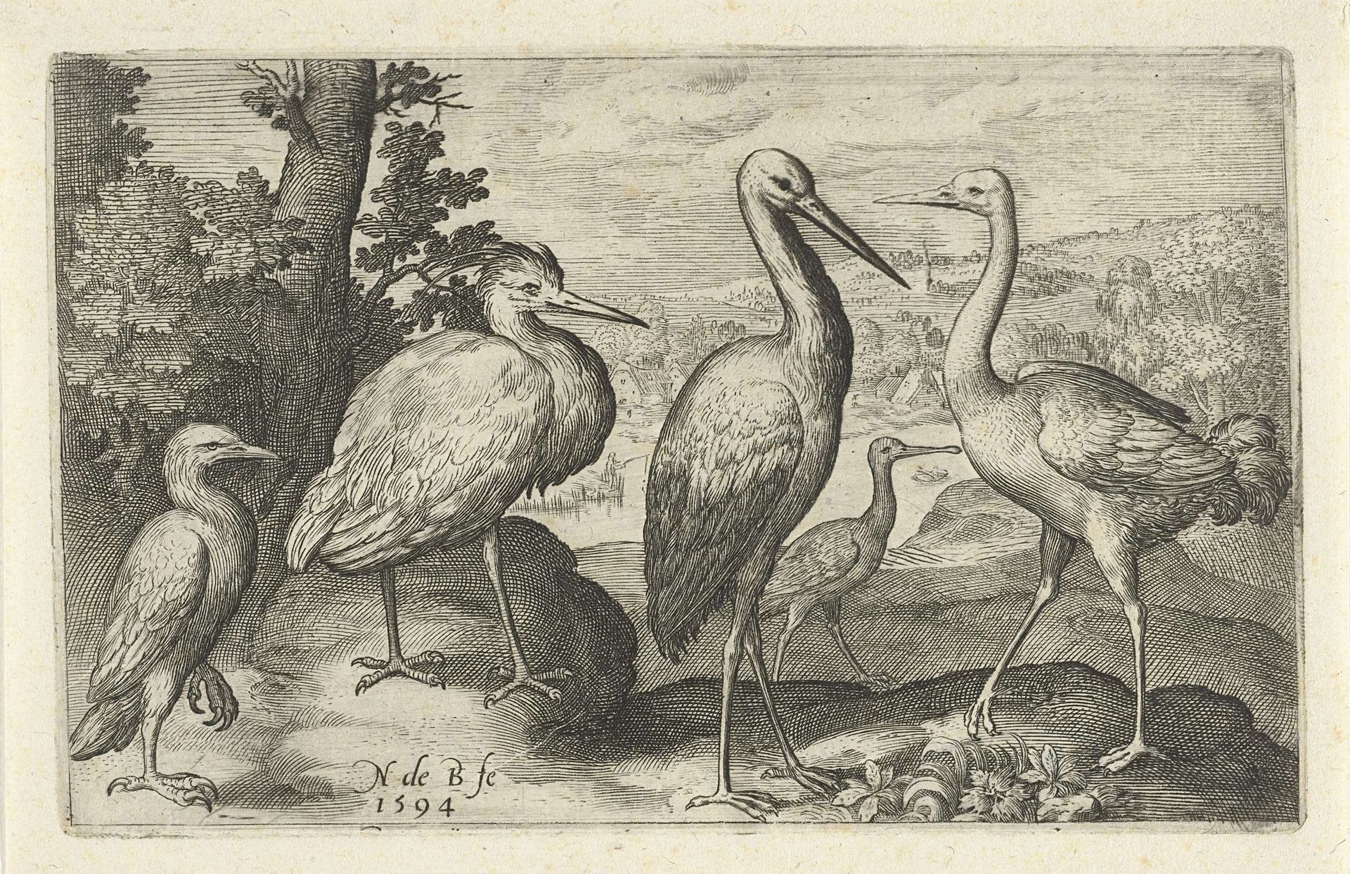 Ooievaar, kraanvogel, reiger en lepelaar by Nicolaes de Bruyn