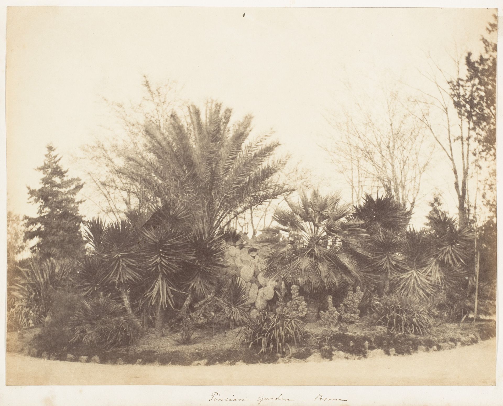 Pincian Garden, Rome by Jane Martha St. John