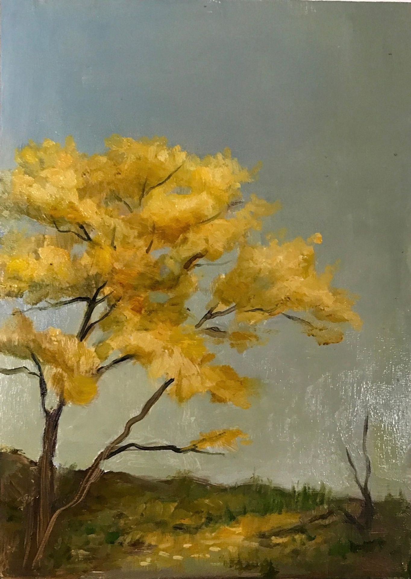 Little Golden Tree by Rose Freymuth-Frazier