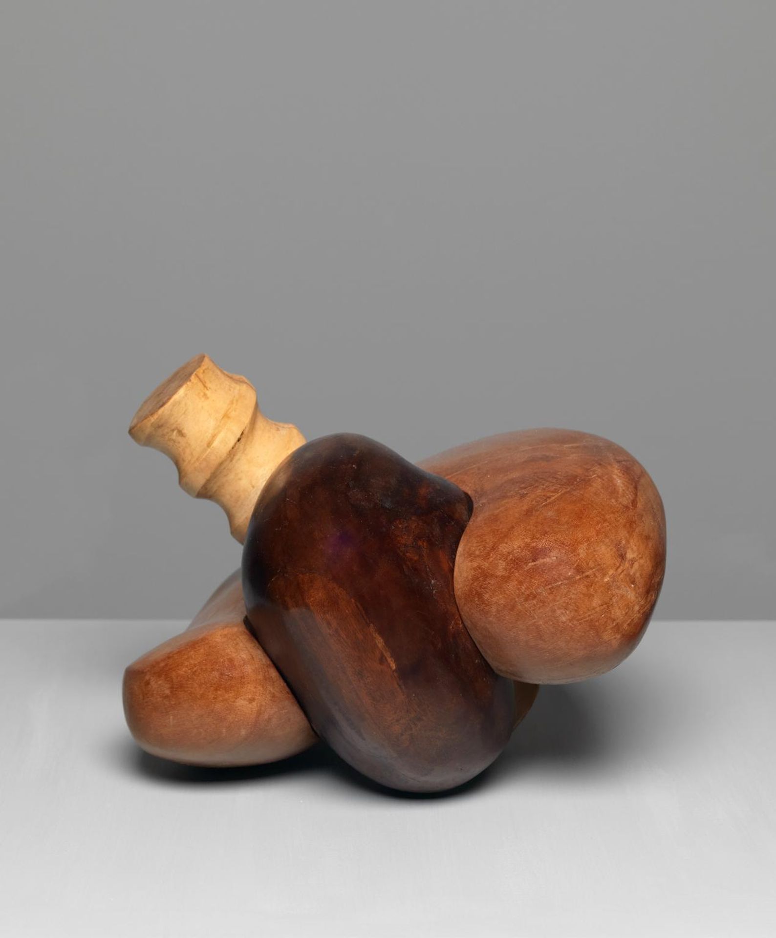 The Screw by  Saloua Raouda Choucair