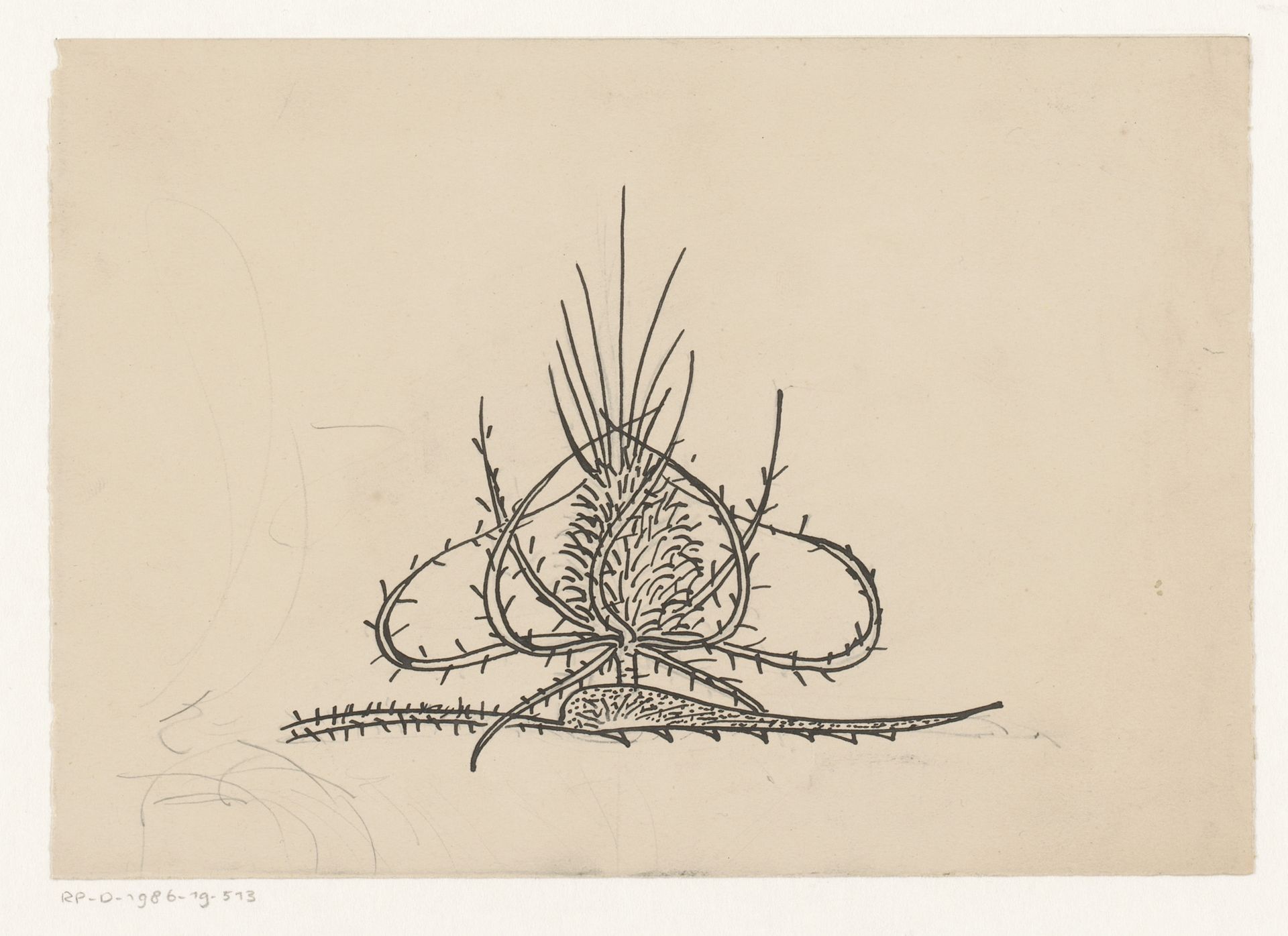 Vignet met distel by Reinier Willem Petrus de (1874-1952) Vries