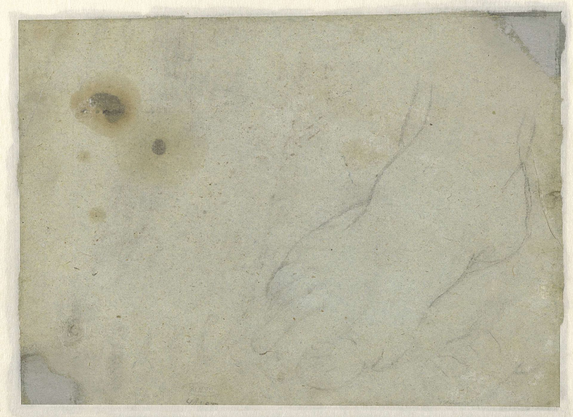 Studie van een voet by Federico Barocci