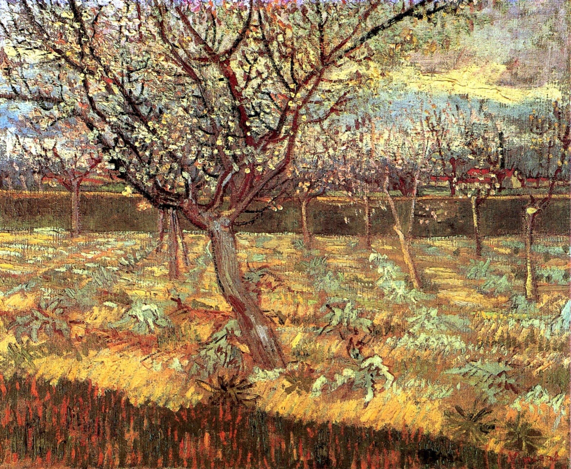 Apricot Trees in Blossom by Vincent van Gogh