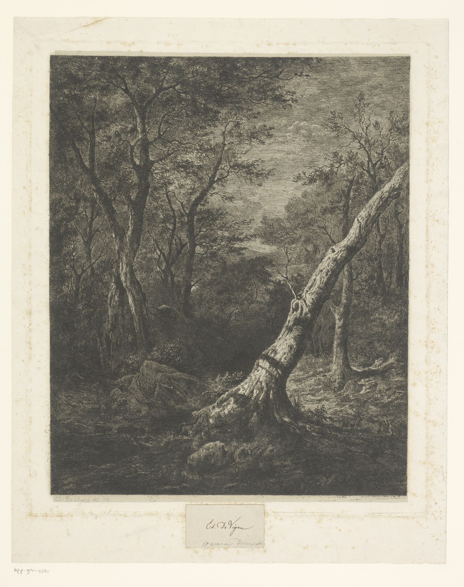Boslandschap by Edouard De Vigne