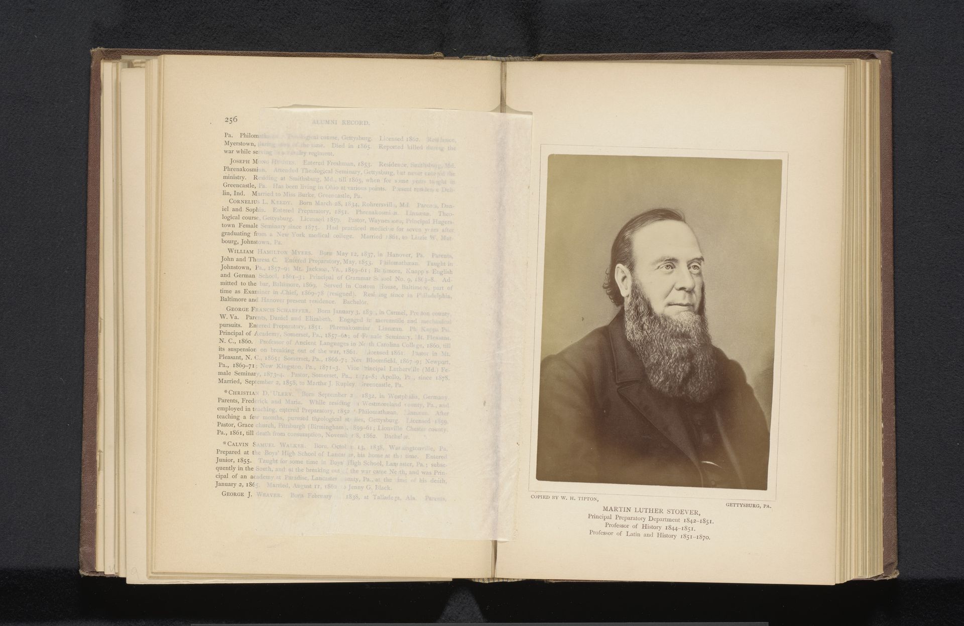 Marten Luther Stoever by William H. Tipton