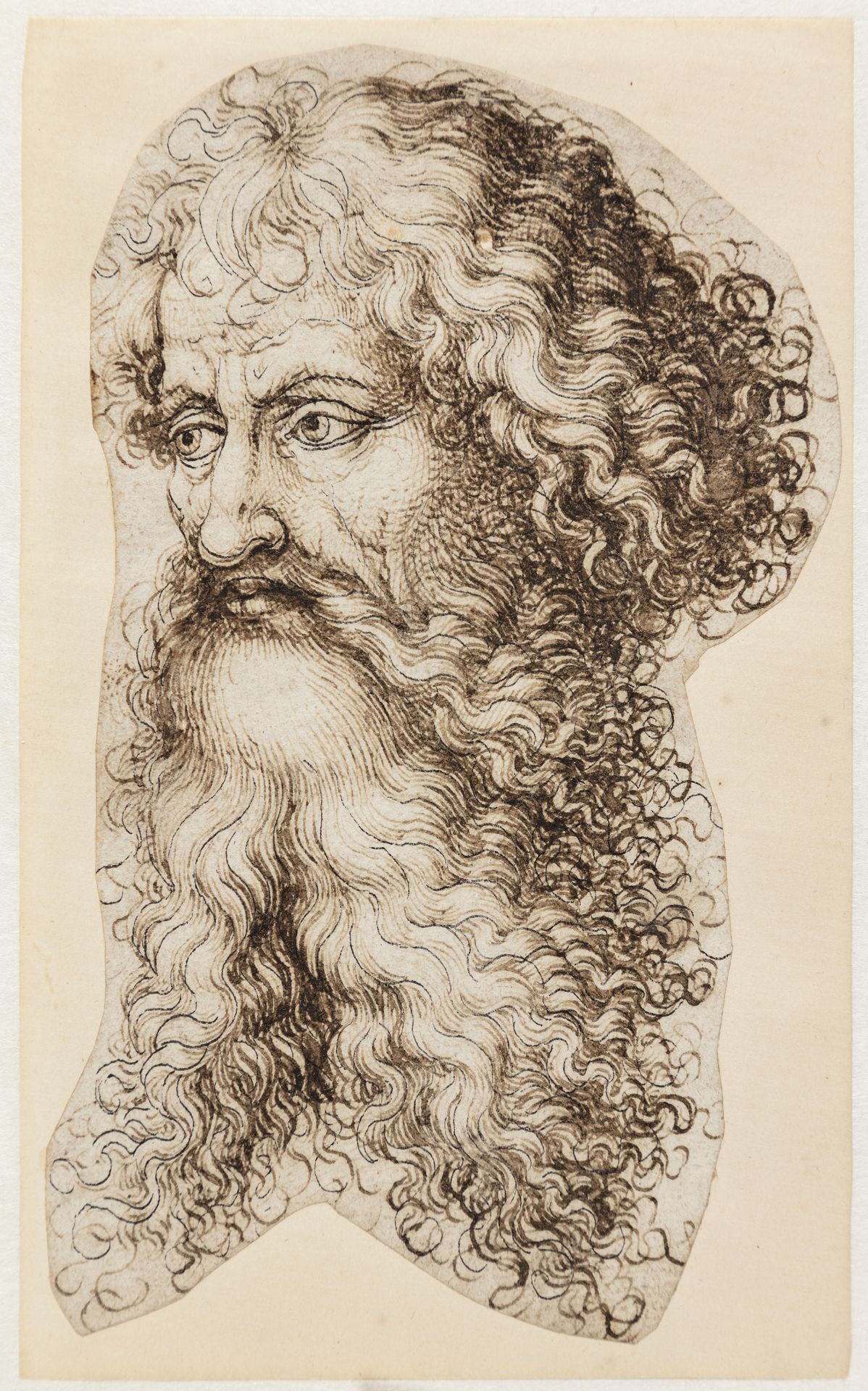 Bearded man's head in three-quarter profile to the left by Martin Schongauer