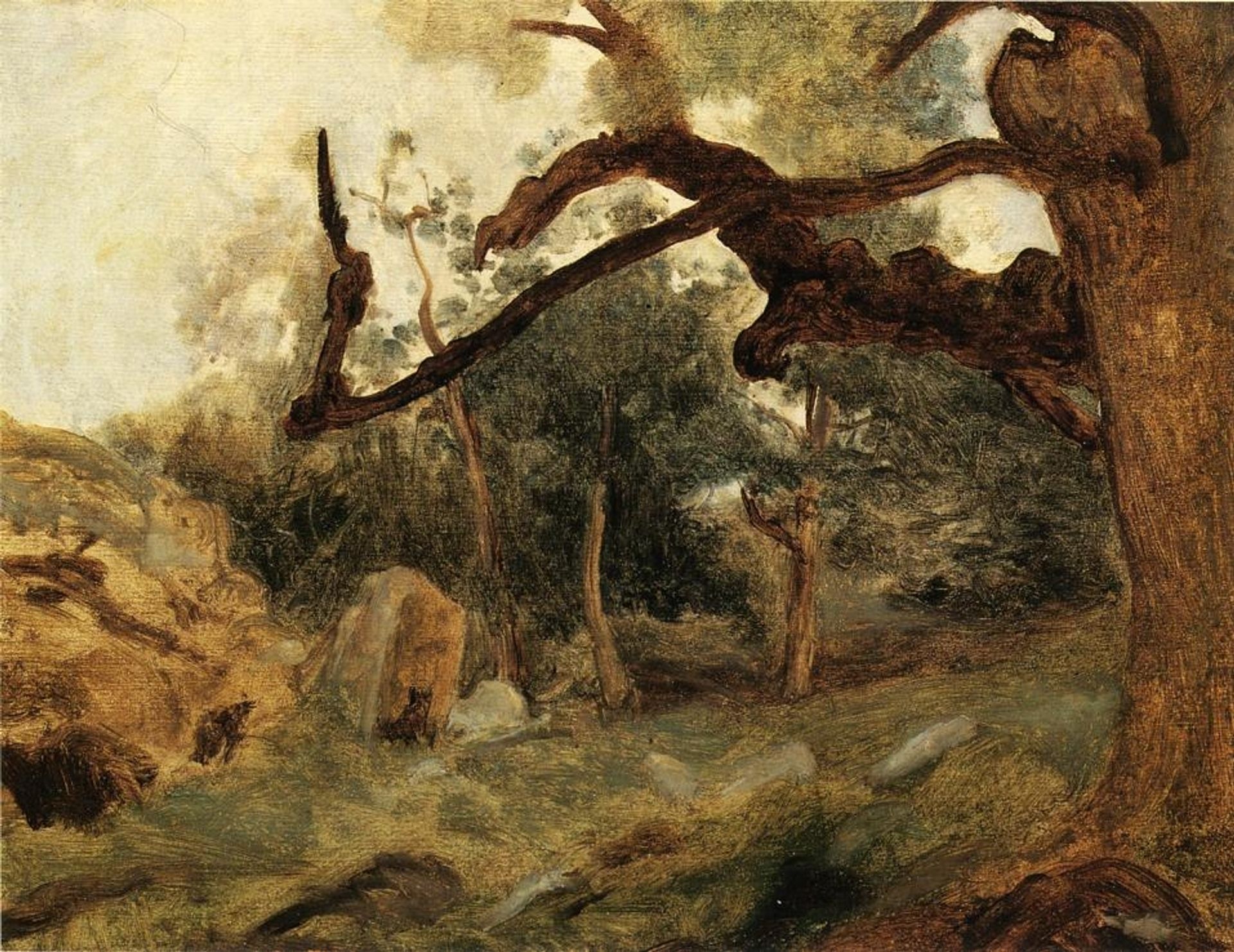L Arbre Tordu, Les Chenes du Mont Usey, Fontainebleau by Camille Corot