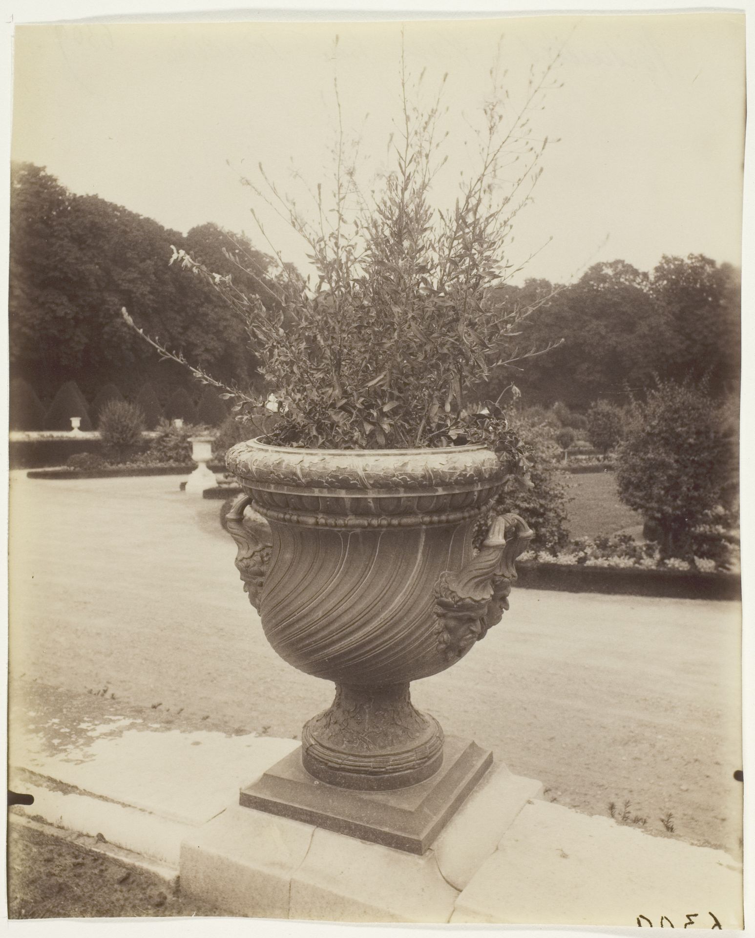 Versailles, Vase par Ballin by Eugène Atget