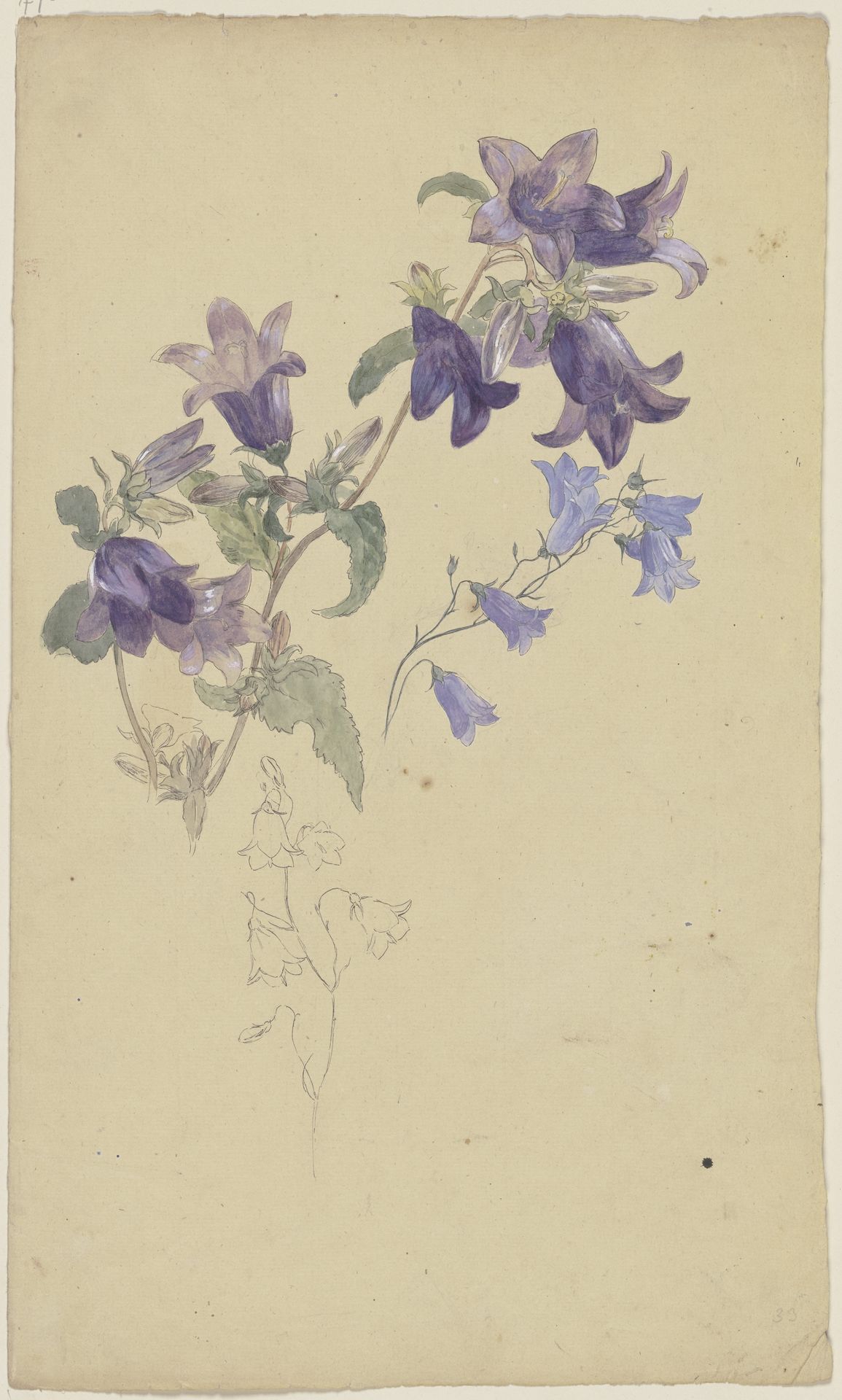 Bluebells by Wilhelm Steinhausen